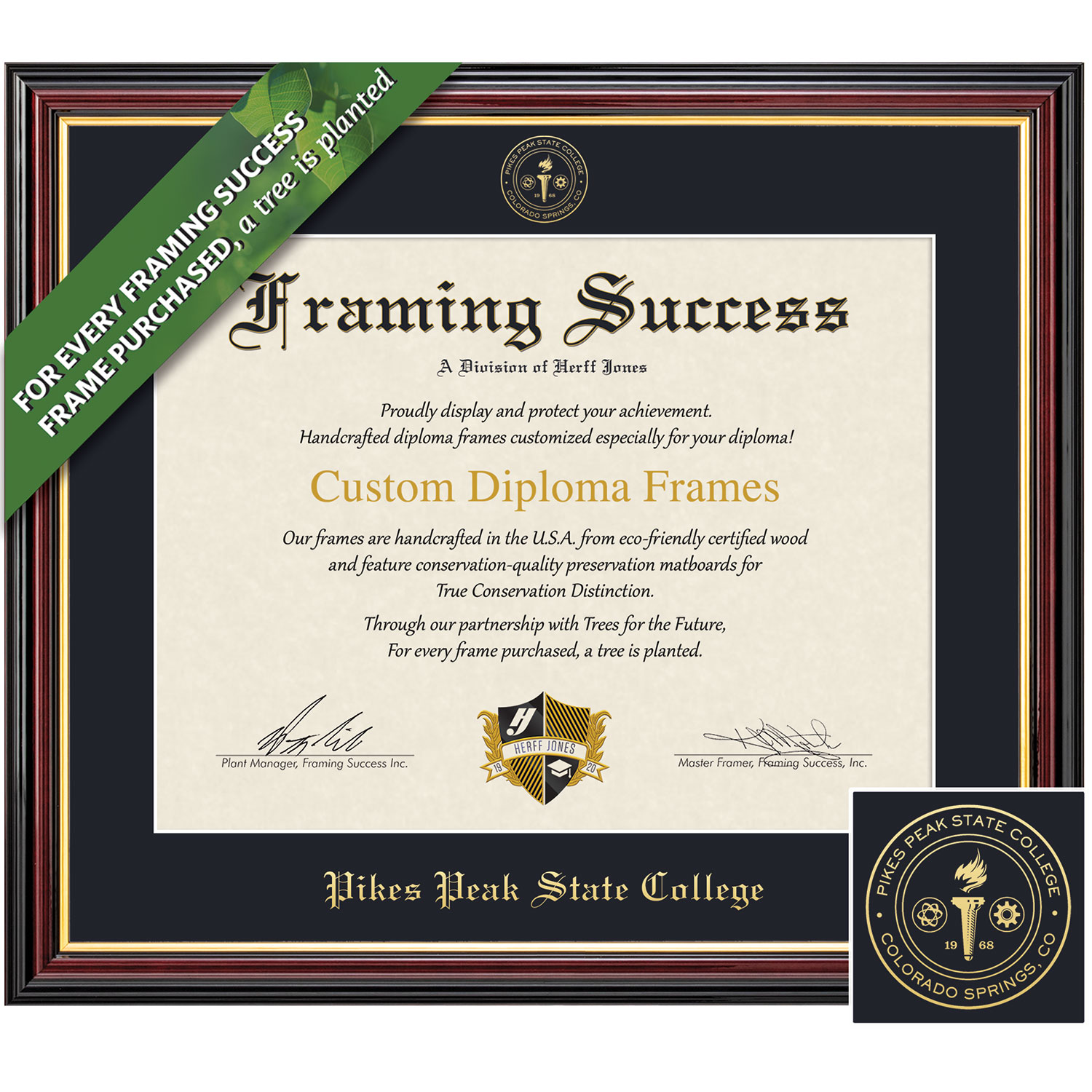 Framing Success 8.5 x 11 Academic Gold Embossed School Seal Associates Diploma Frame