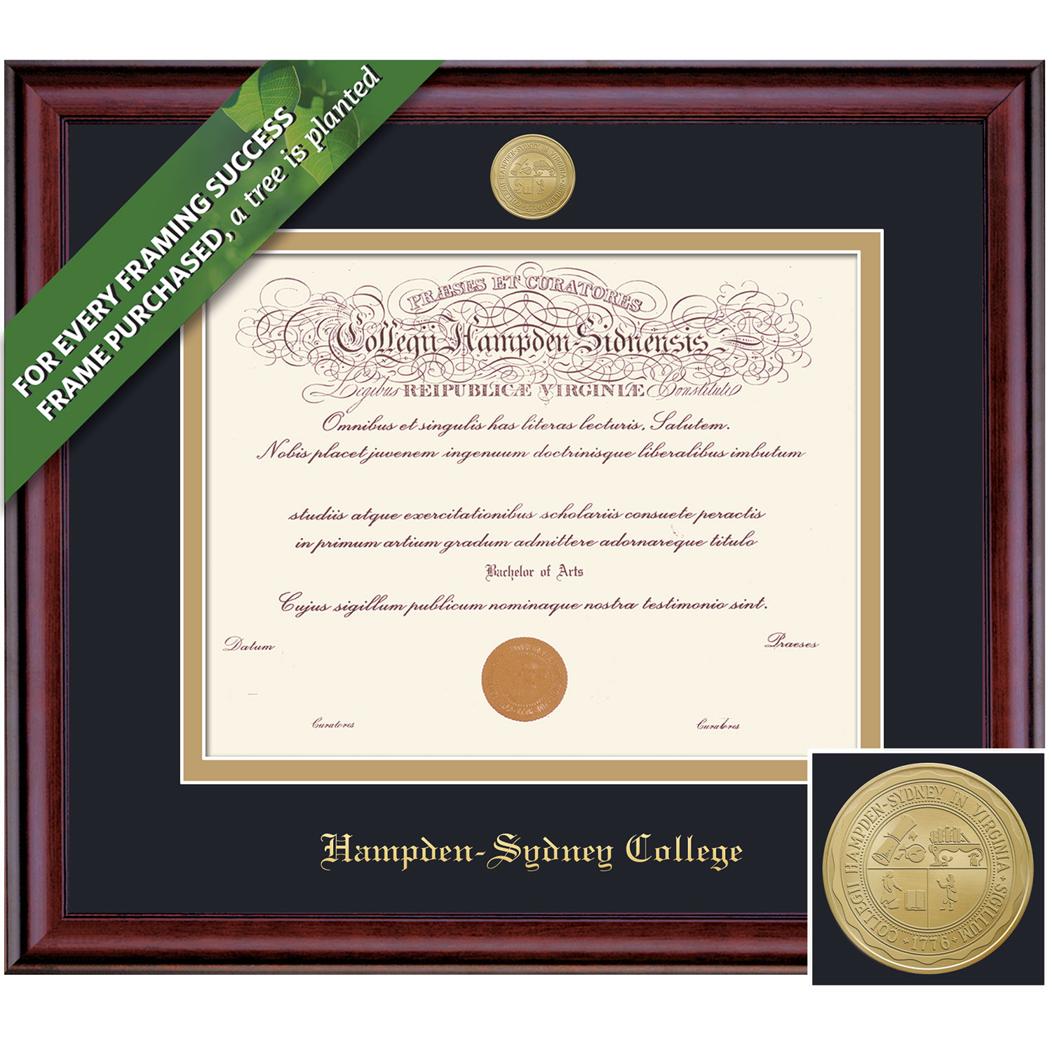 Framing Success 13.75 x 16.75 Classic Gold Medallion Bachelors Diploma Frame