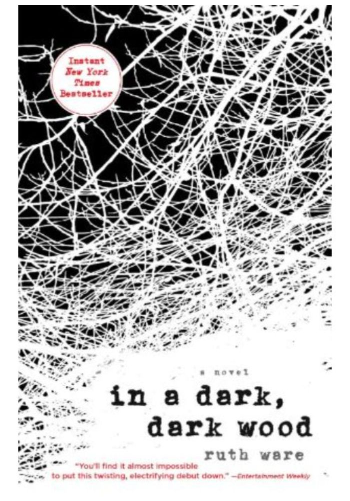 In a Dark  Dark Wood