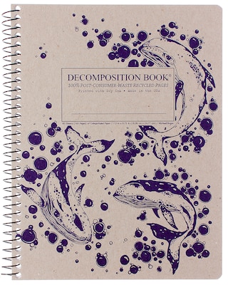 Humpback Whales Coilbound Decomposition Notebook