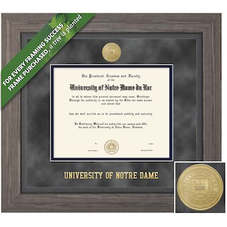 Framing Success 8.5 x 11 Greystone Gold Medallion Bachelors, Masters, PhD Diploma Frame