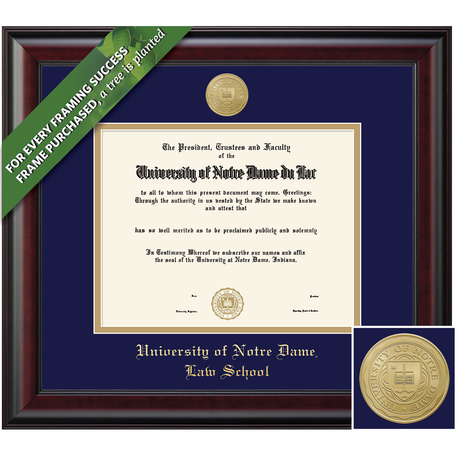 Framing Success 14 x 17 Classic Gold Medallion Law Diploma Frame