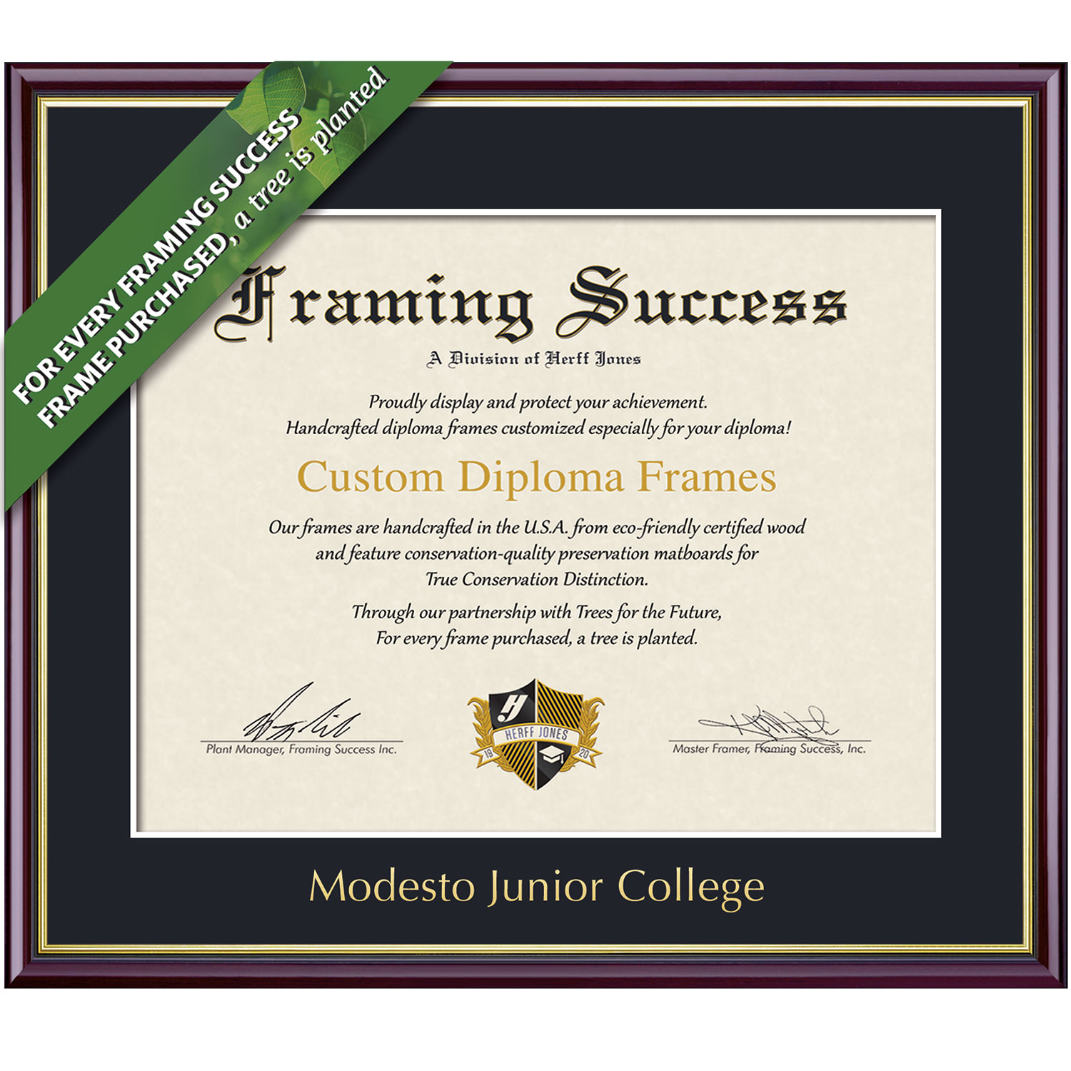 Framing Success 8.5 x 11 Academic Gold Embossed Modesto Junior College Name Associates Diploma Frame