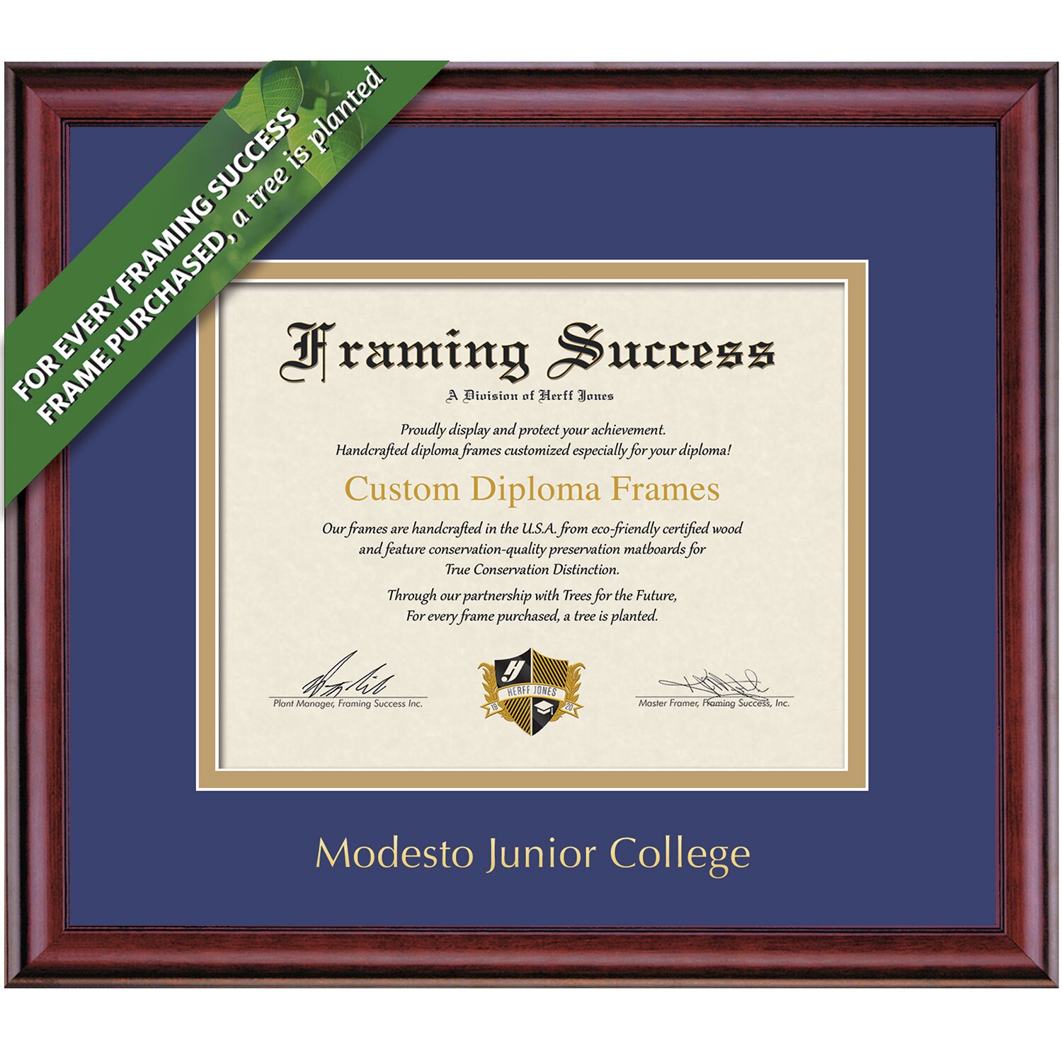 Framing Success 8.5 x 11 Classic Gold Embossed Modesto Junior College Name Associates Diploma Frame