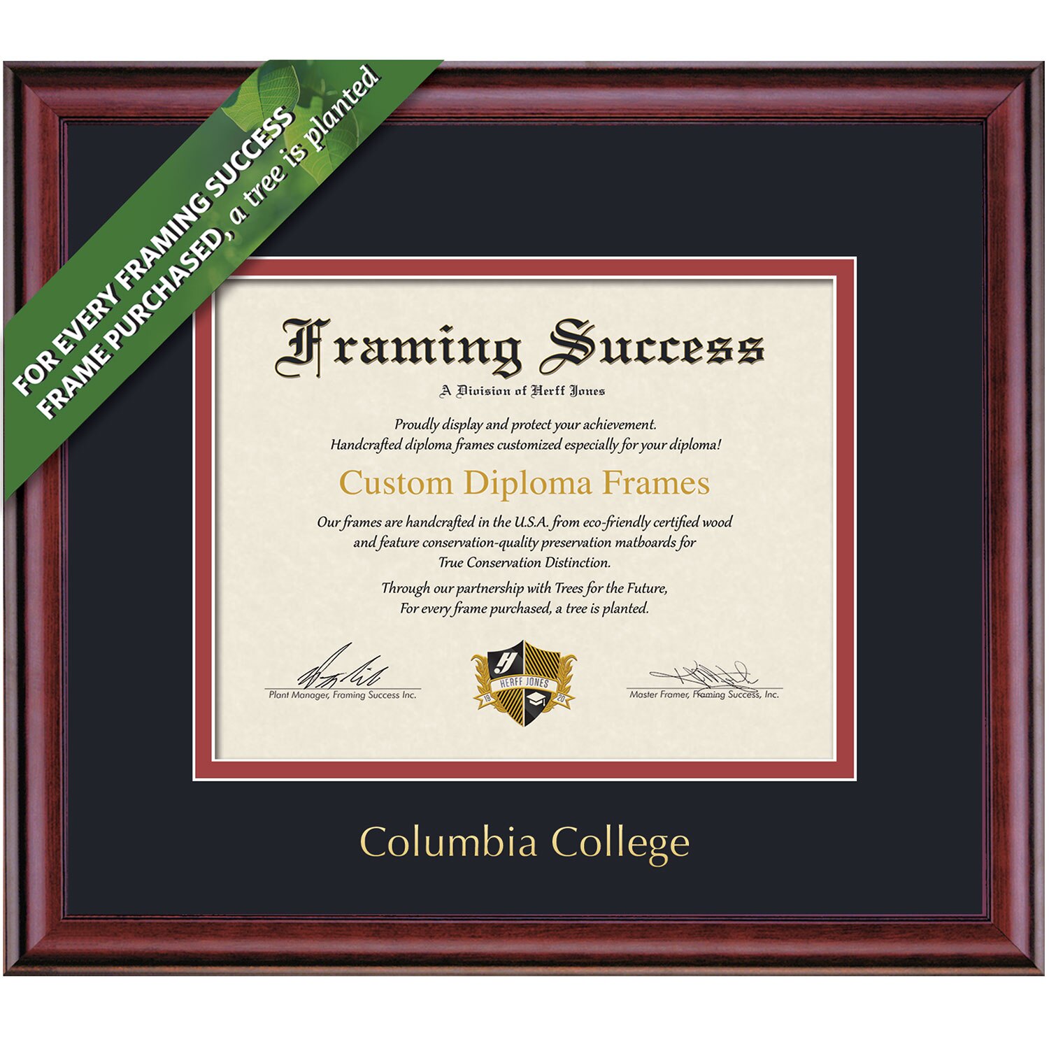 Framing Success 8.5 x 11 Classic Gold Embossed Columbia College Name Associates Diploma Frame