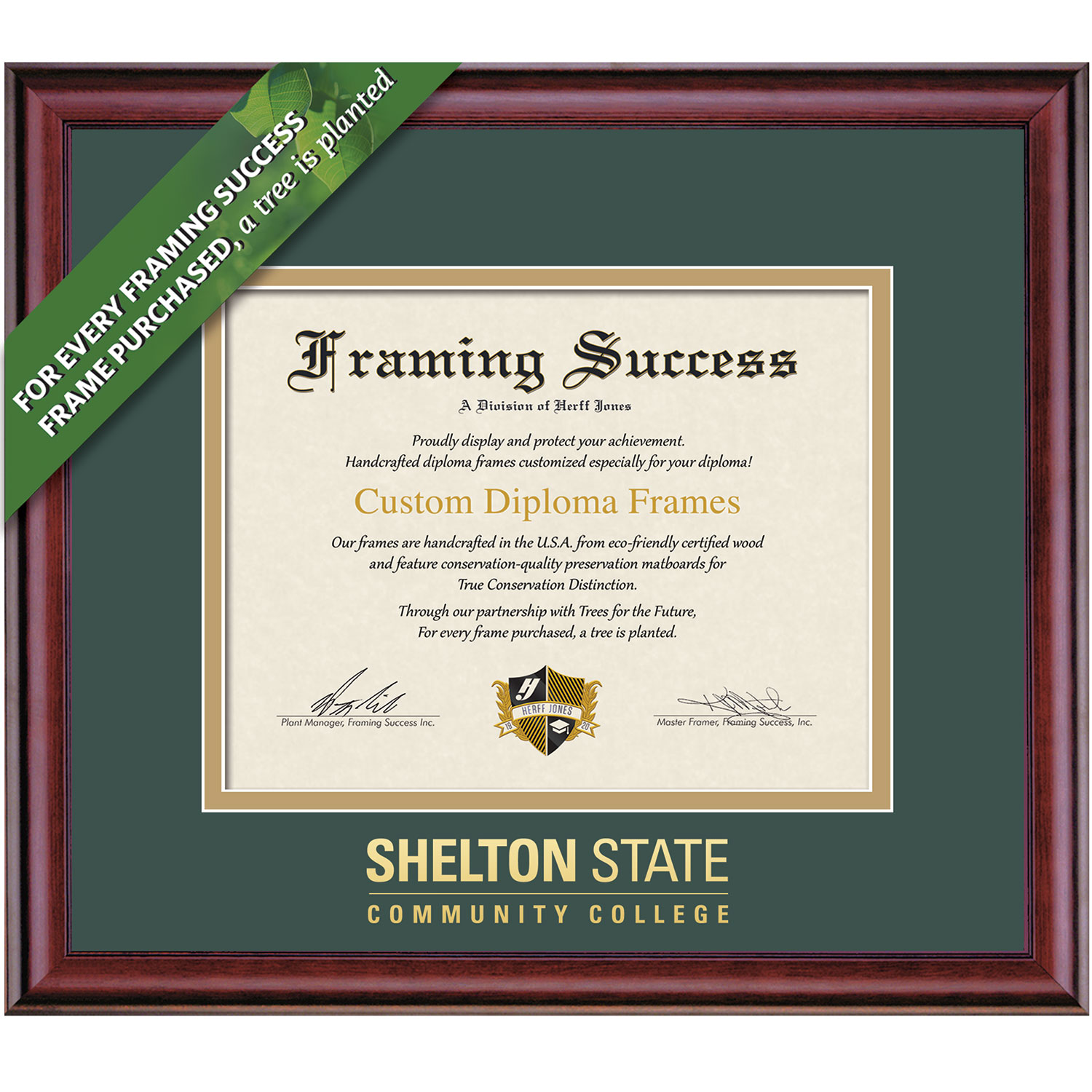 Framing Success 8.5 x 11 Classic Gold Embossed School Name Associates Diploma Frame