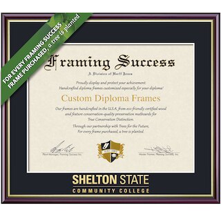 Framing Success 8.5 x 11 Academic Gold Embossed School Name Associates Diploma Frame