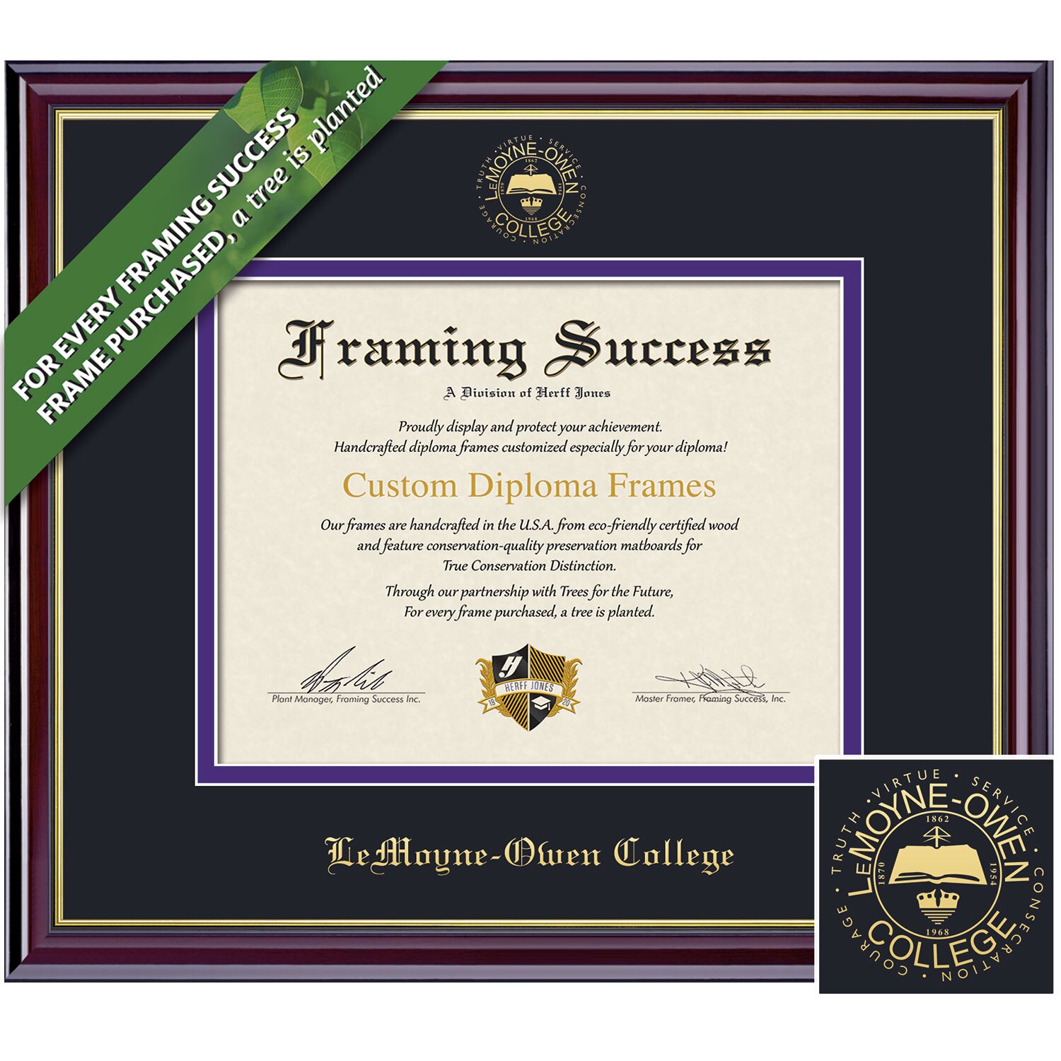 Framing Success 8.5 x 11 Windsor Gold Embossed School Seal Associates, Bachelors Diploma Frame