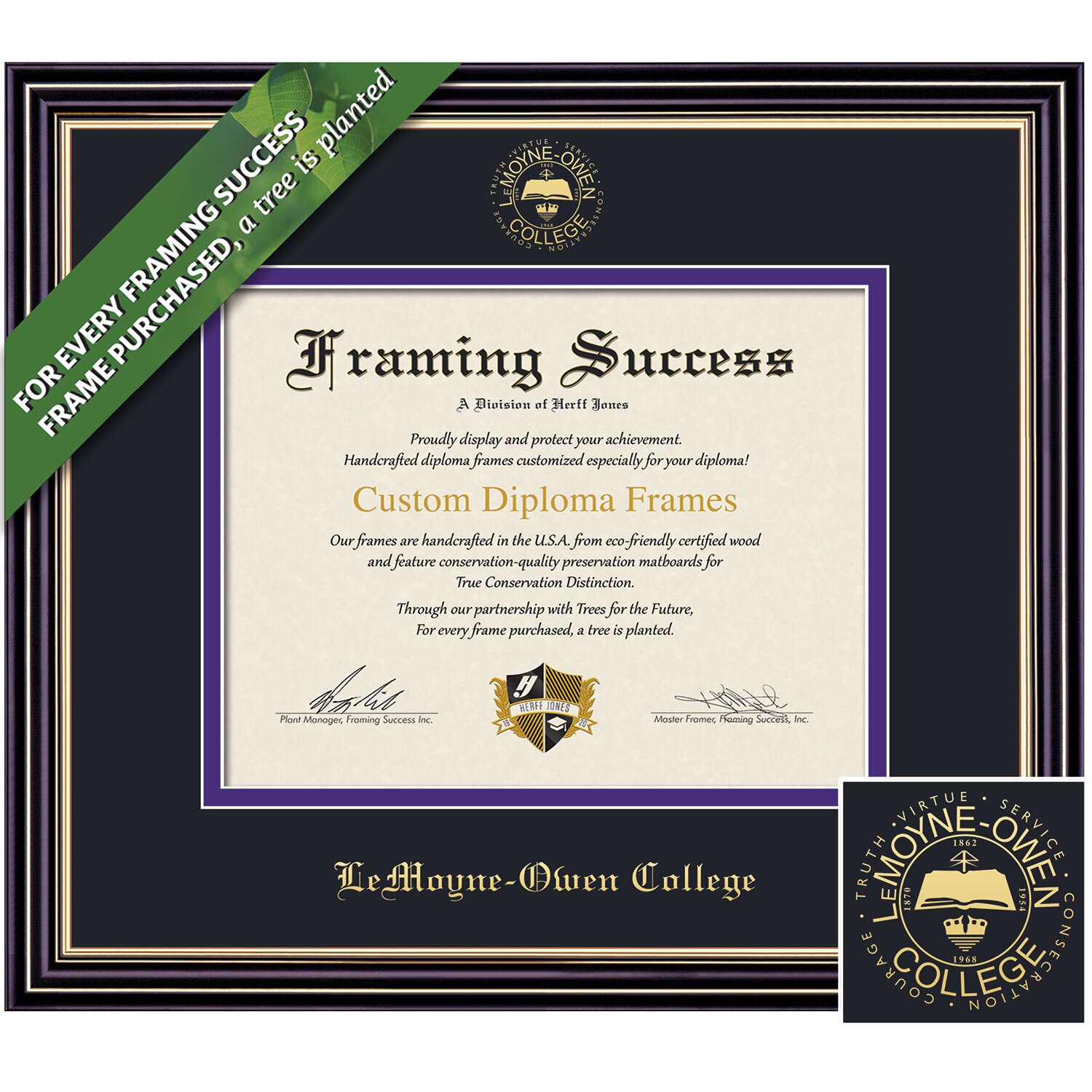 Framing Success 8.5 x 11 Prestige Gold Embossed School Seal Associates, Bachelors Diploma Frame