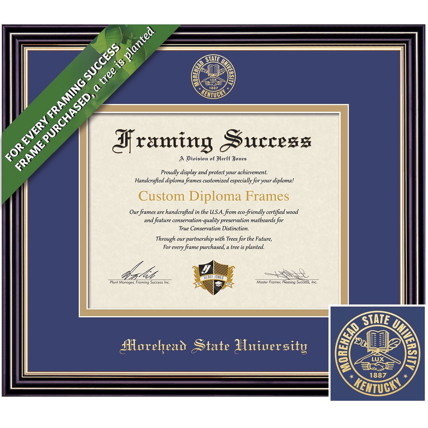 Framing Success 8.5 x 11 Prestige Gold Embossed School Seal Bachelors, Masters, PhD Diploma Frame