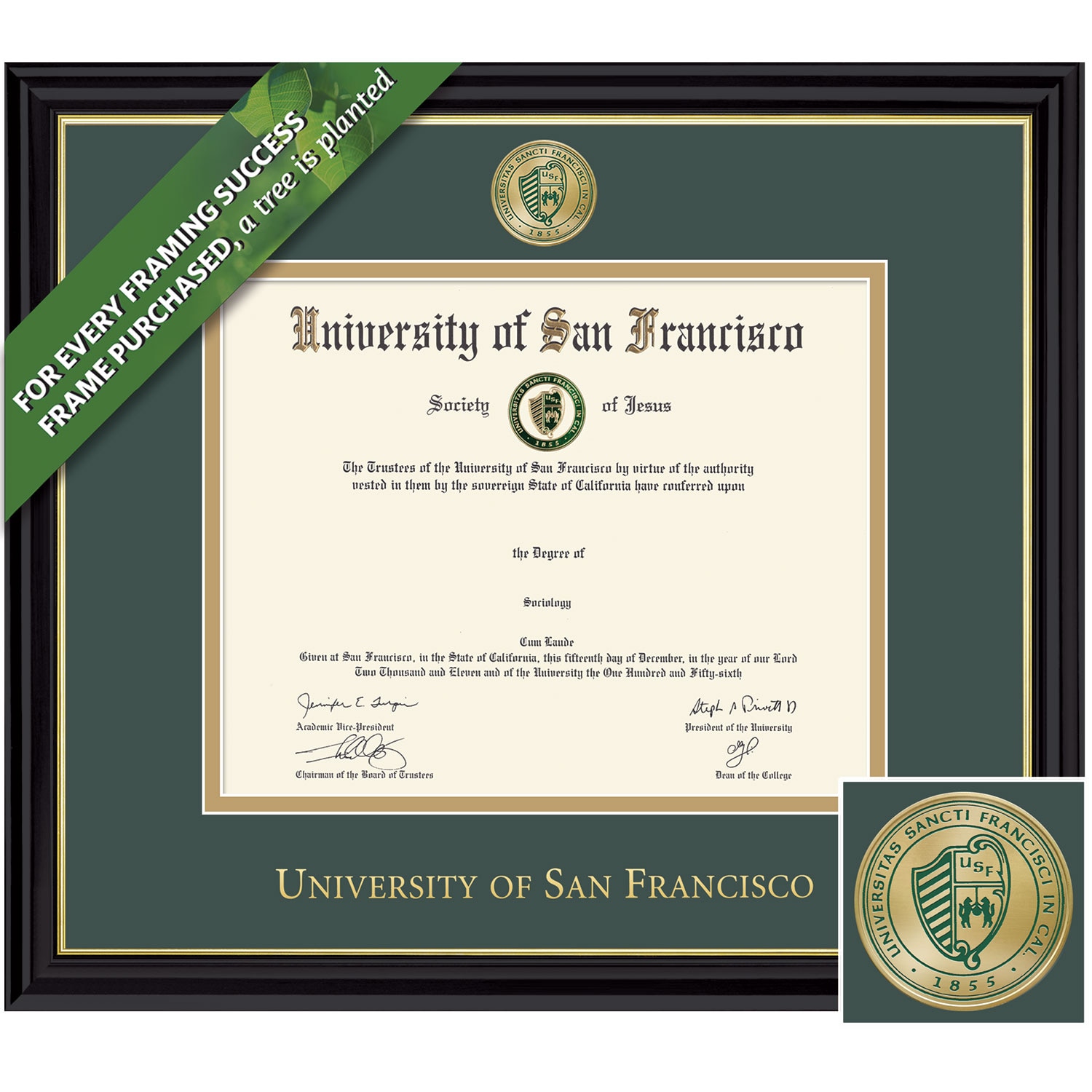 Framing Success 8 x 10 Coronado Colored Medallion Masters, PhD Diploma Frame