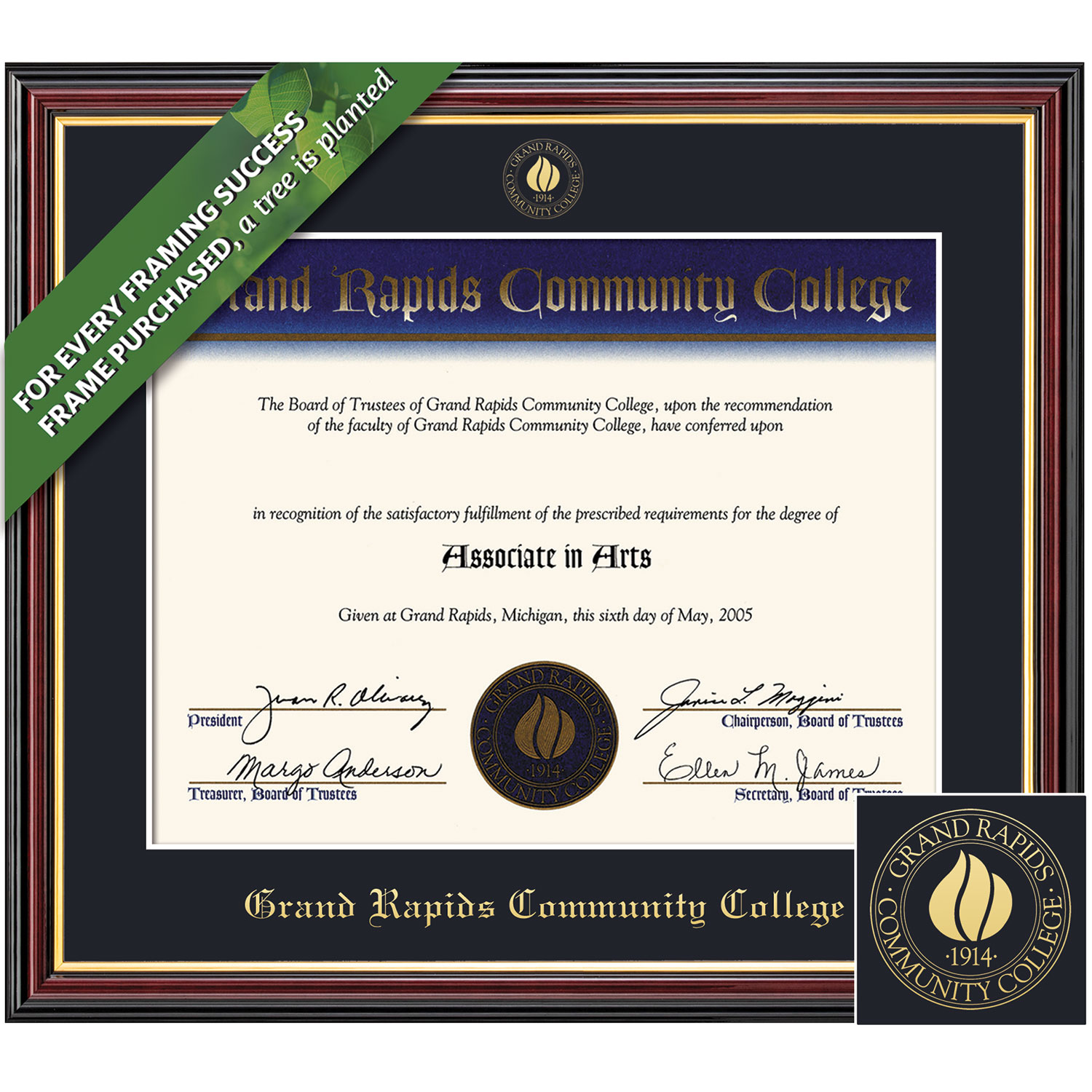 Framing Success 8.5 x 11 Academic Gold Embossed School Seal Associates Diploma Frame