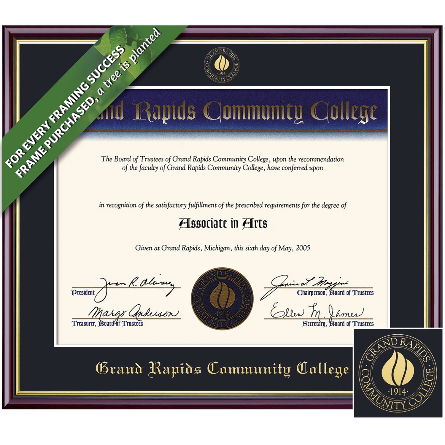 Framing Success 6 x 8 Academic Gold Embossed School Seal Associates Diploma Frame