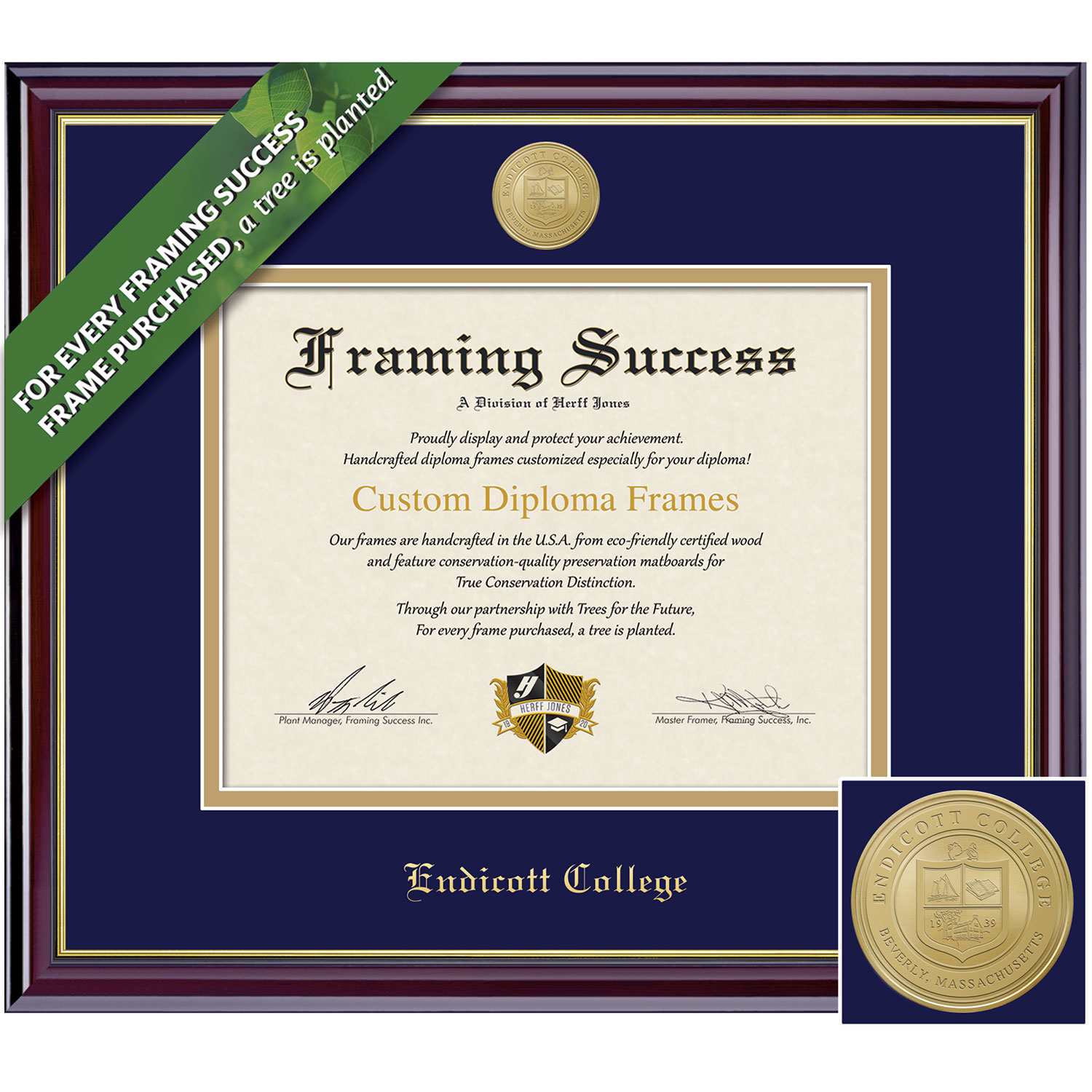 Framing Success 8.5 x 11 Windsor Gold Medallion Bachelors Diploma Frame