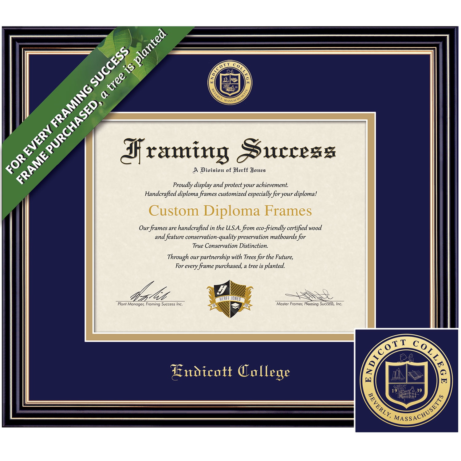 Framing Success 8.5 x 11 Prestige Gold Embossed School Seal Bachelors Diploma Frame