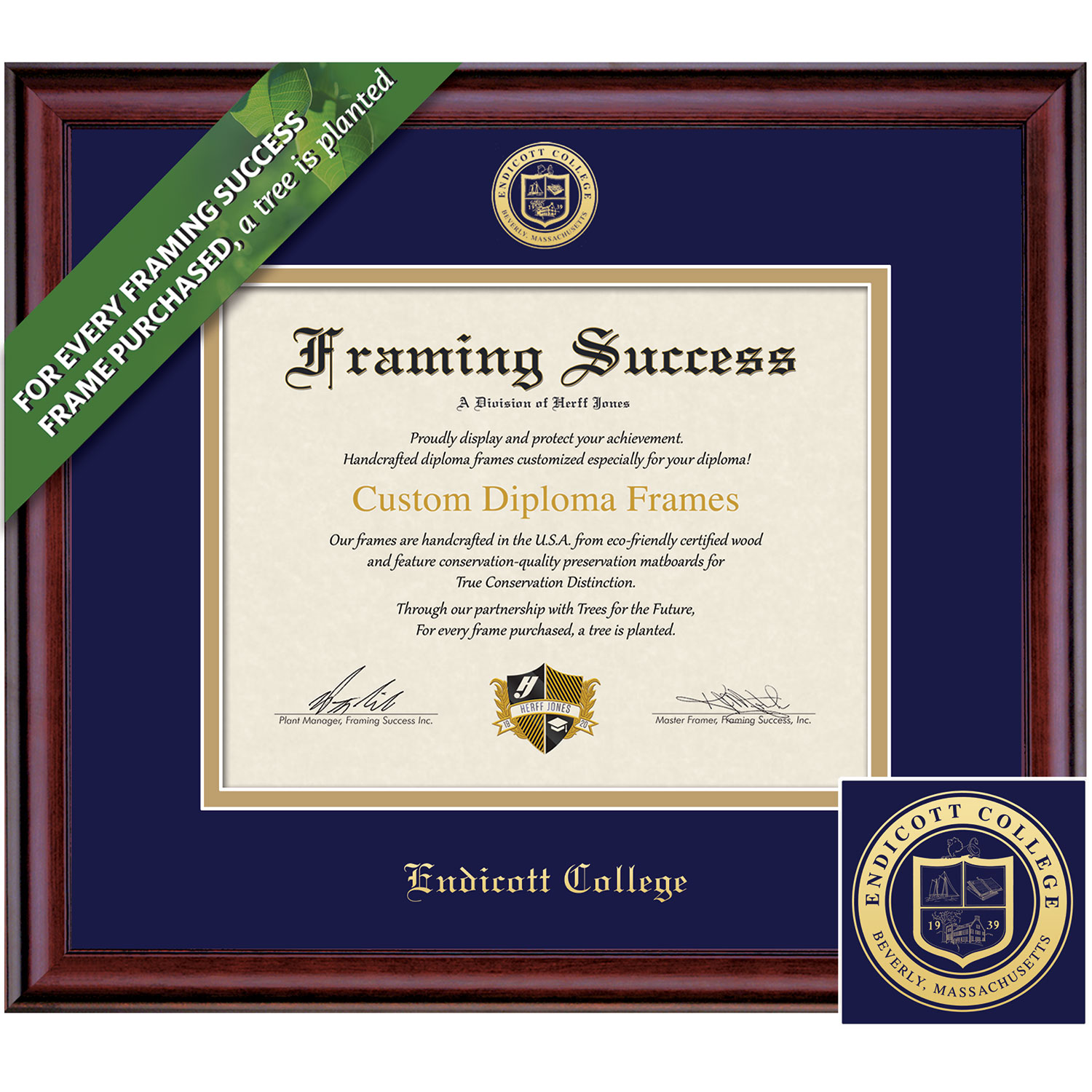 Framing Success 8.5 x 11 Classic Gold Embossed School Seal Bachelors Diploma Frame