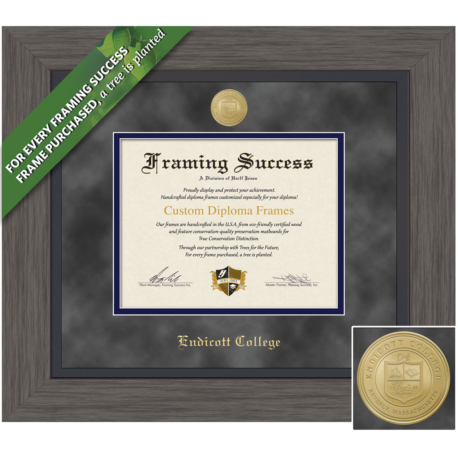 Framing Success 8.5 x 11 Greystone Gold Medallion Bachelors Diploma Frame