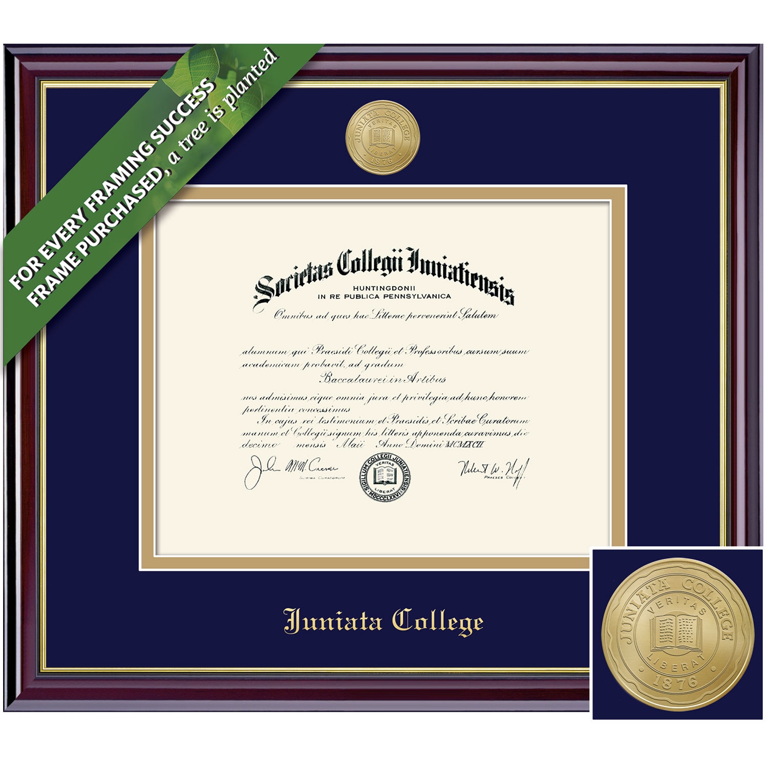 Framing Success 7 x 9 Windsor Gold Medallion Bachelors, Masters Diploma Frame