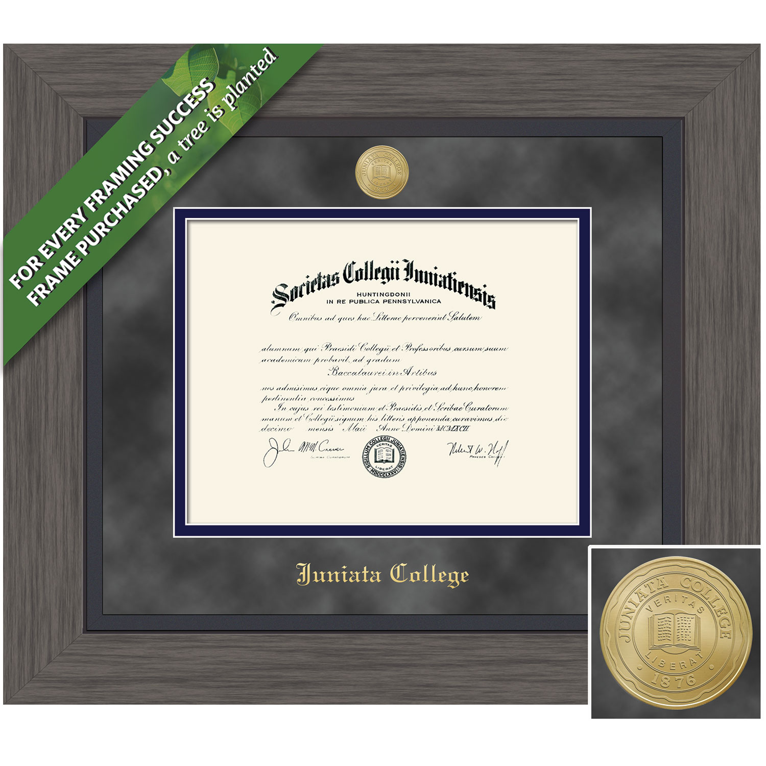 Framing Success 7 x 9 Greystone Gold Medallion Bachelors, Masters Diploma Frame
