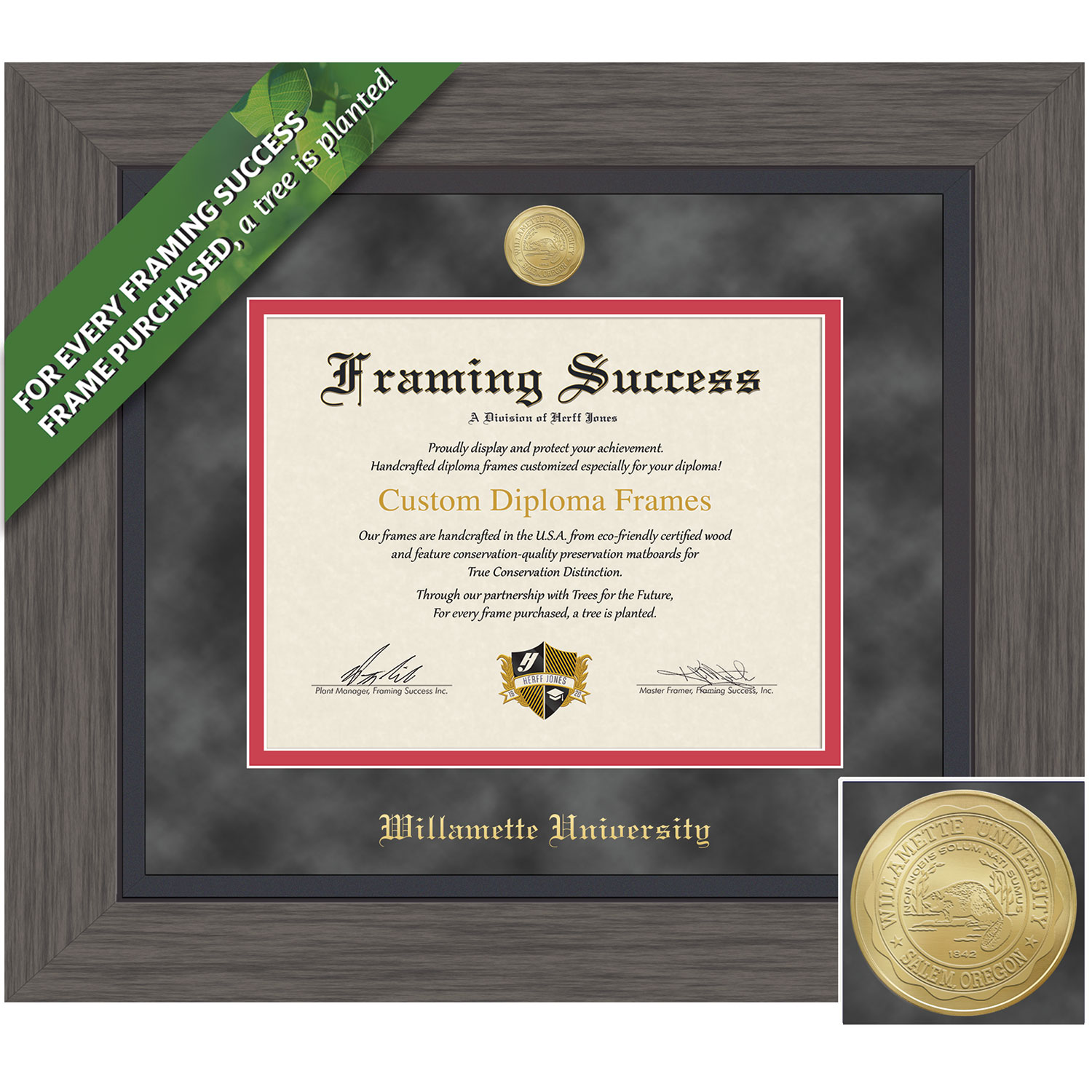 Framing Success 11 x 14 Greystone Gold Medallion Masters Diploma Frame