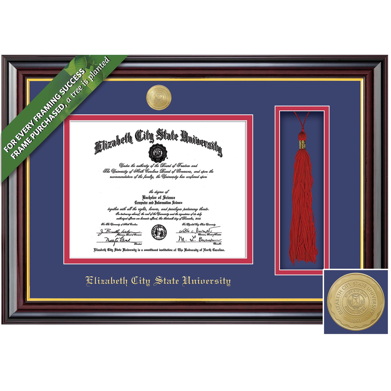 Framing Success 8.5 x 11 Windsor Gold Medallion Bachelors, Masters Diploma/Tassel Frame