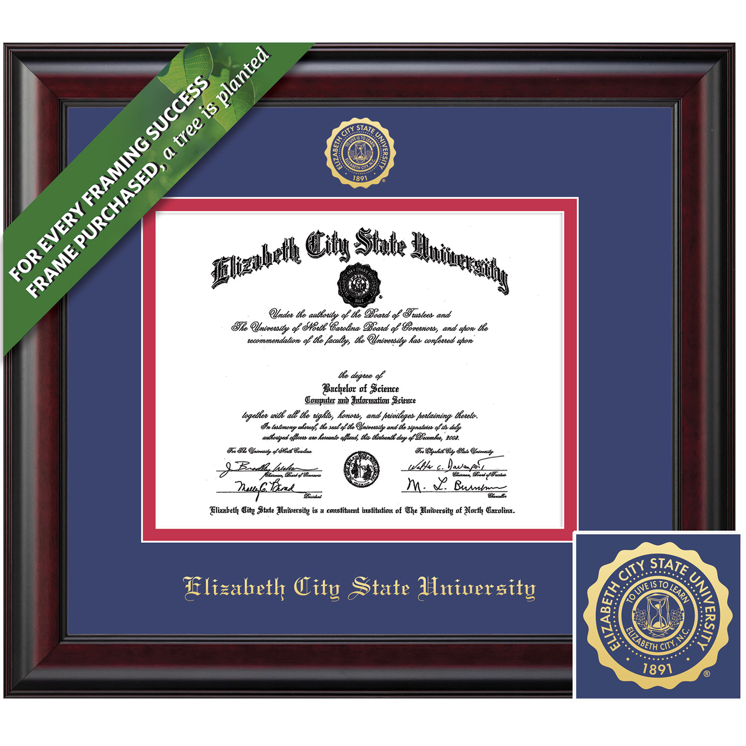 Framing Success 8.5 x 11 Classic Gold Embossed School Seal Bachelors, Masters Diploma Frame