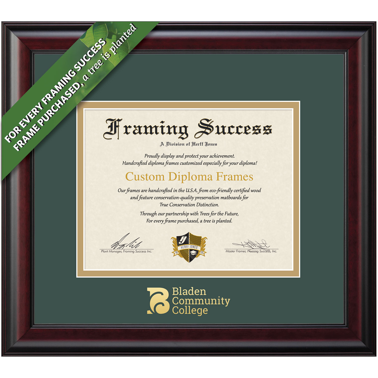 Framing Success 8.5 x 11 Classic Gold Embossed School Name Associates Diploma Frame