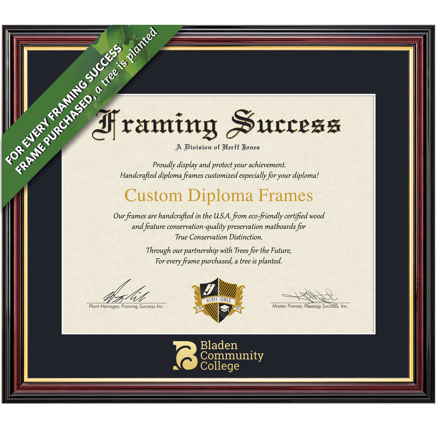 Framing Success 8.5 x 11 Academic Gold Embossed School Name Associates Diploma Frame