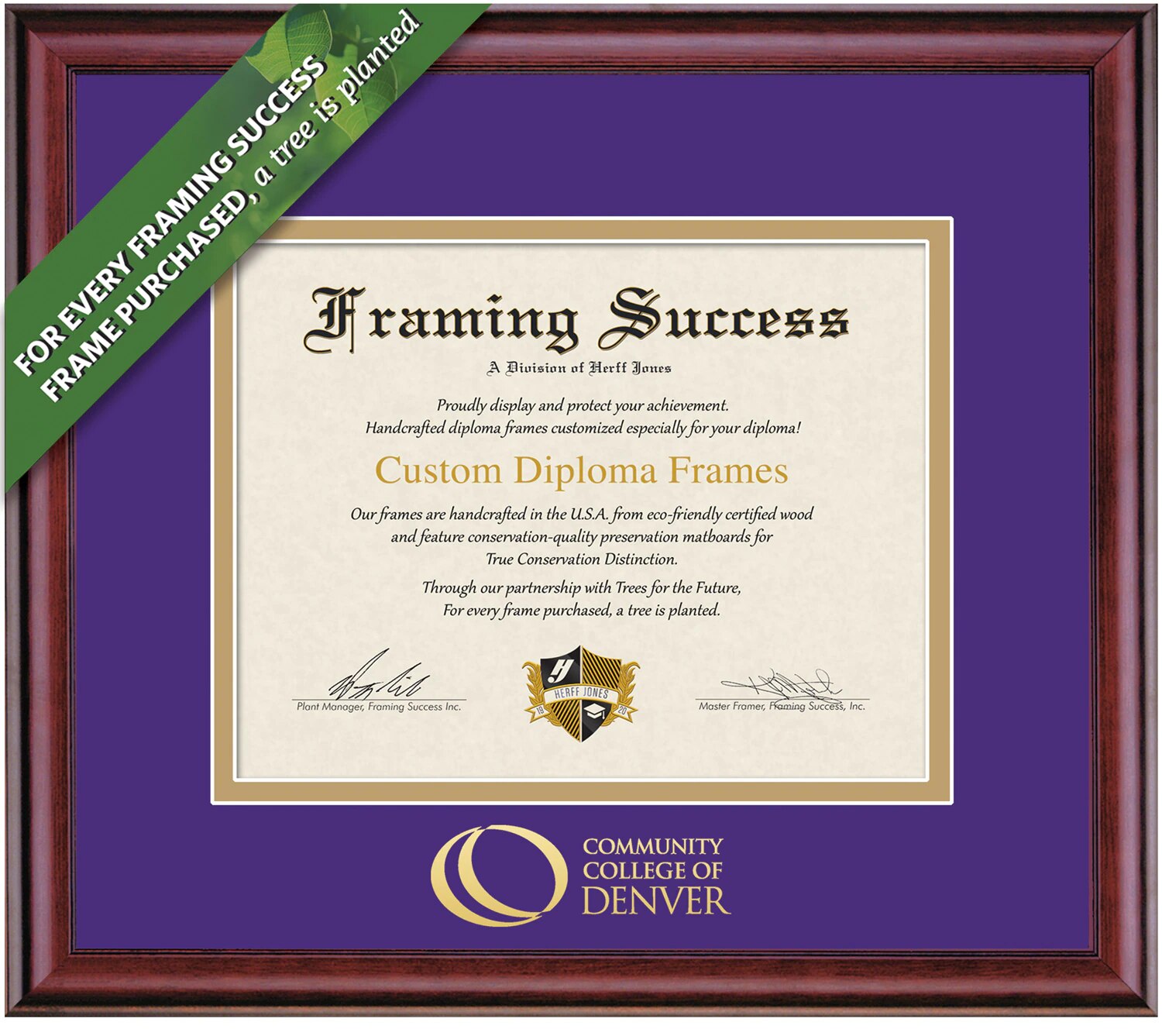 Framing Success 8.5 x 11 Classic Gold Embossed School Logo/Name Associates Diploma Frame