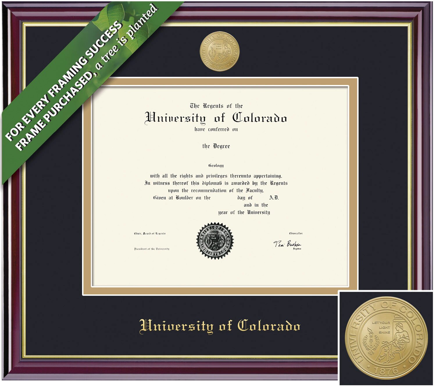 Framing Success 14 x 16 Windsor Gold Medallion PhD Diploma Frame