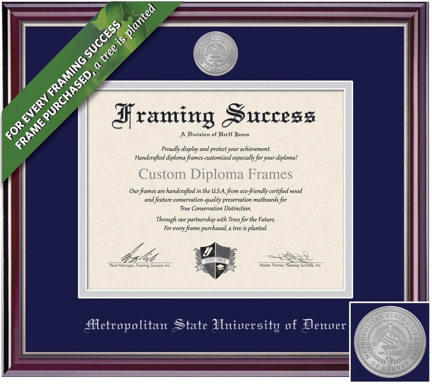Framing Success 8.5 x 11 Jefferson Silver Medallion Bachelors, Masters Diploma Frame