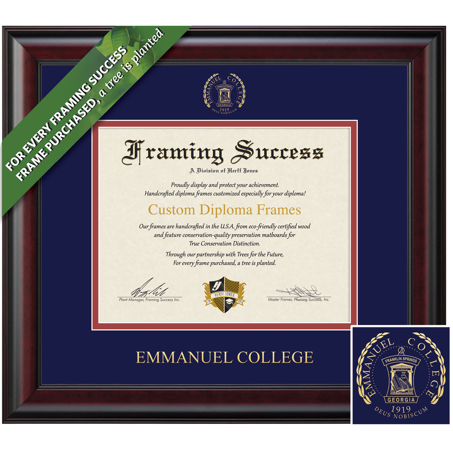 Framing Success 8.5 x 11 Classic Gold Embossed School Seal Associates, Bachelors Diploma Frame