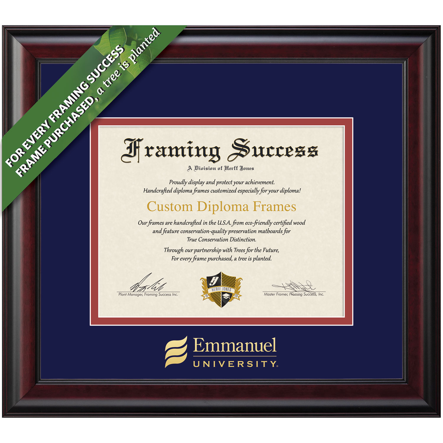 Framing Success 8.5 x 11 Classic Gold Embossed School Name Associates Bachelors Diploma Frame
