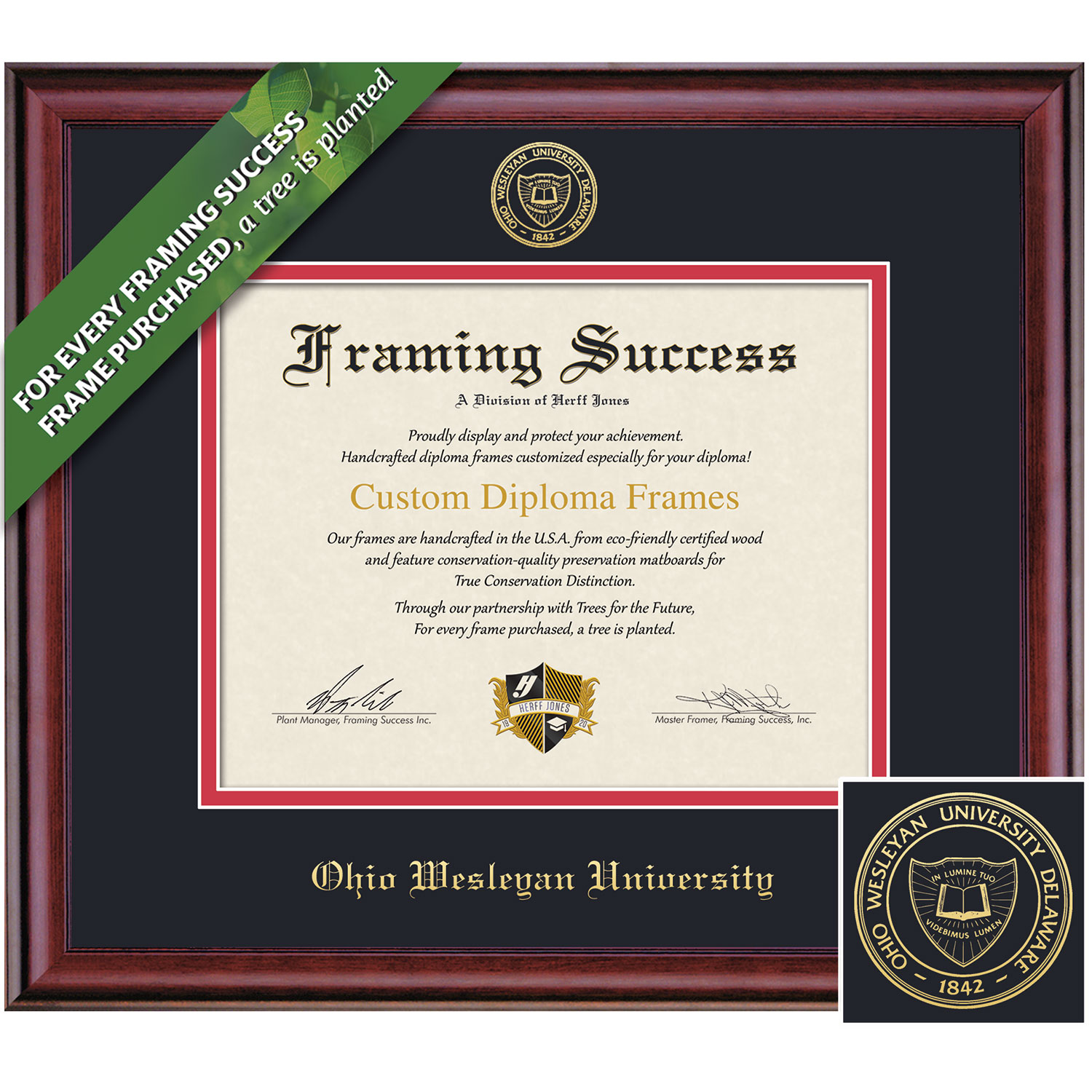 Framing Success 8.5 x 11 Classic Gold Embossed School Seal Bachelors Diploma Frame