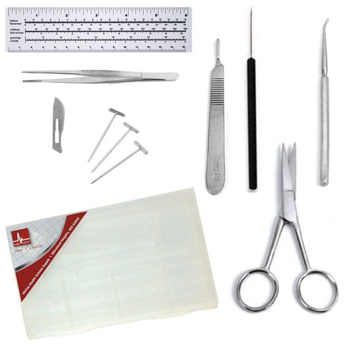 Palm Beach Atlantic Dissection Kit