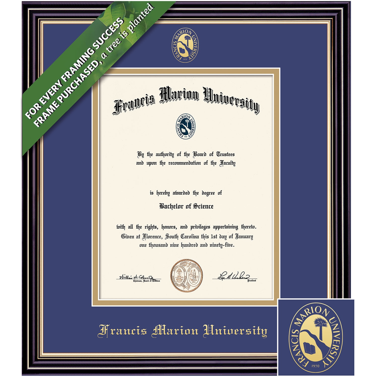 Framing Success 14 x 11 Prestige Gold Embossed School Seal Bachelors, Masters Diploma Frame
