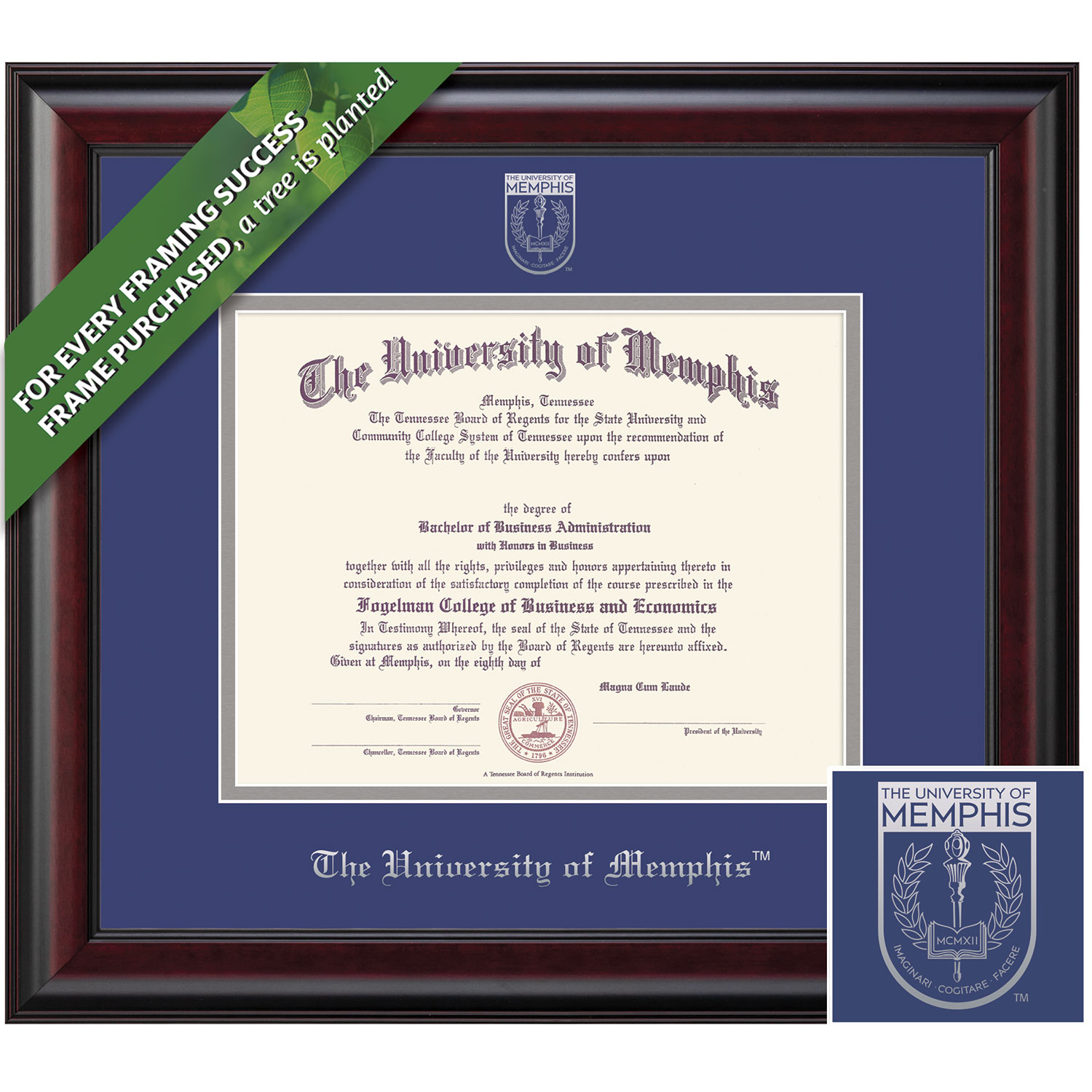 Framing Success 11 x 14 Classic Silver Embossed School Seal Bachelors, Masters Diploma Frame