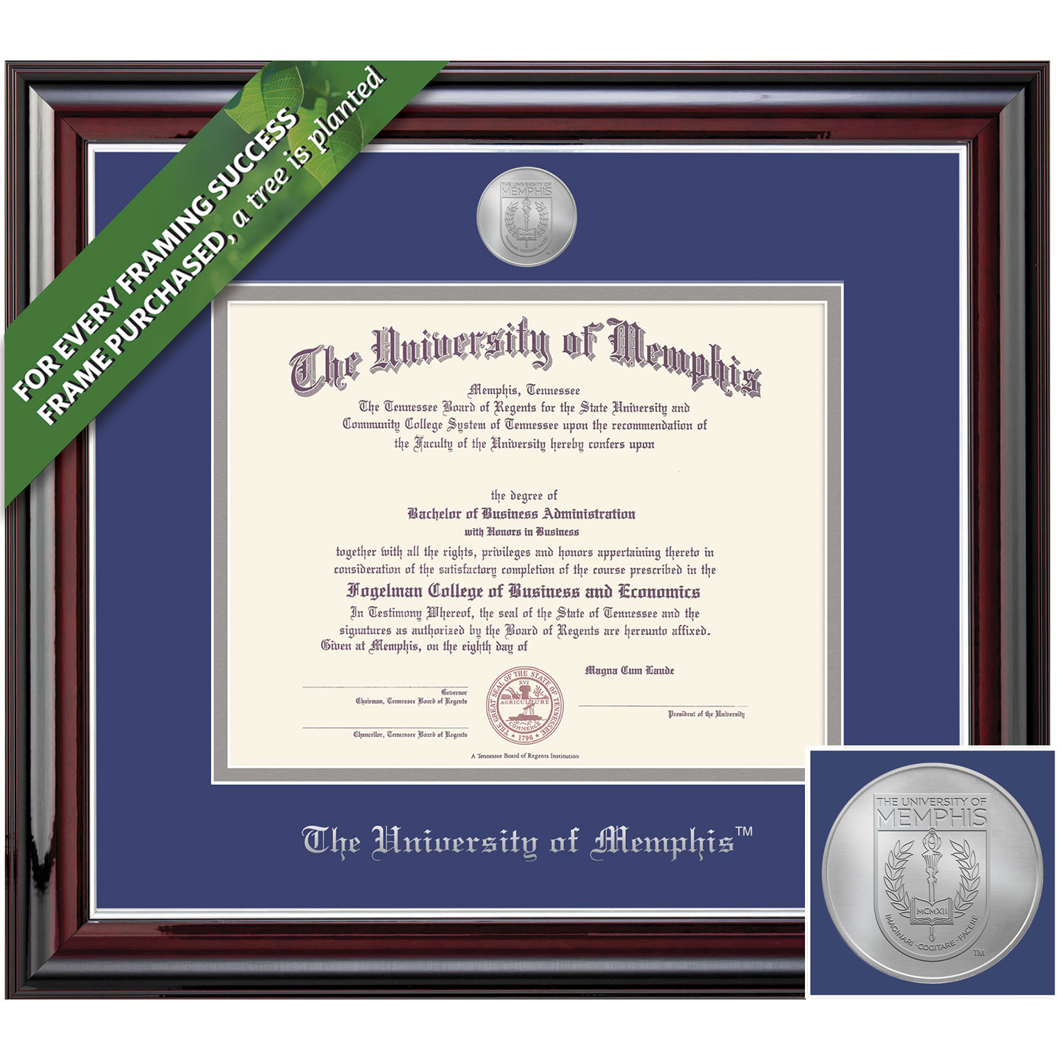 Framing Success 14 x 17 Jefferson Silver Medallion Doctorate Diploma Frame