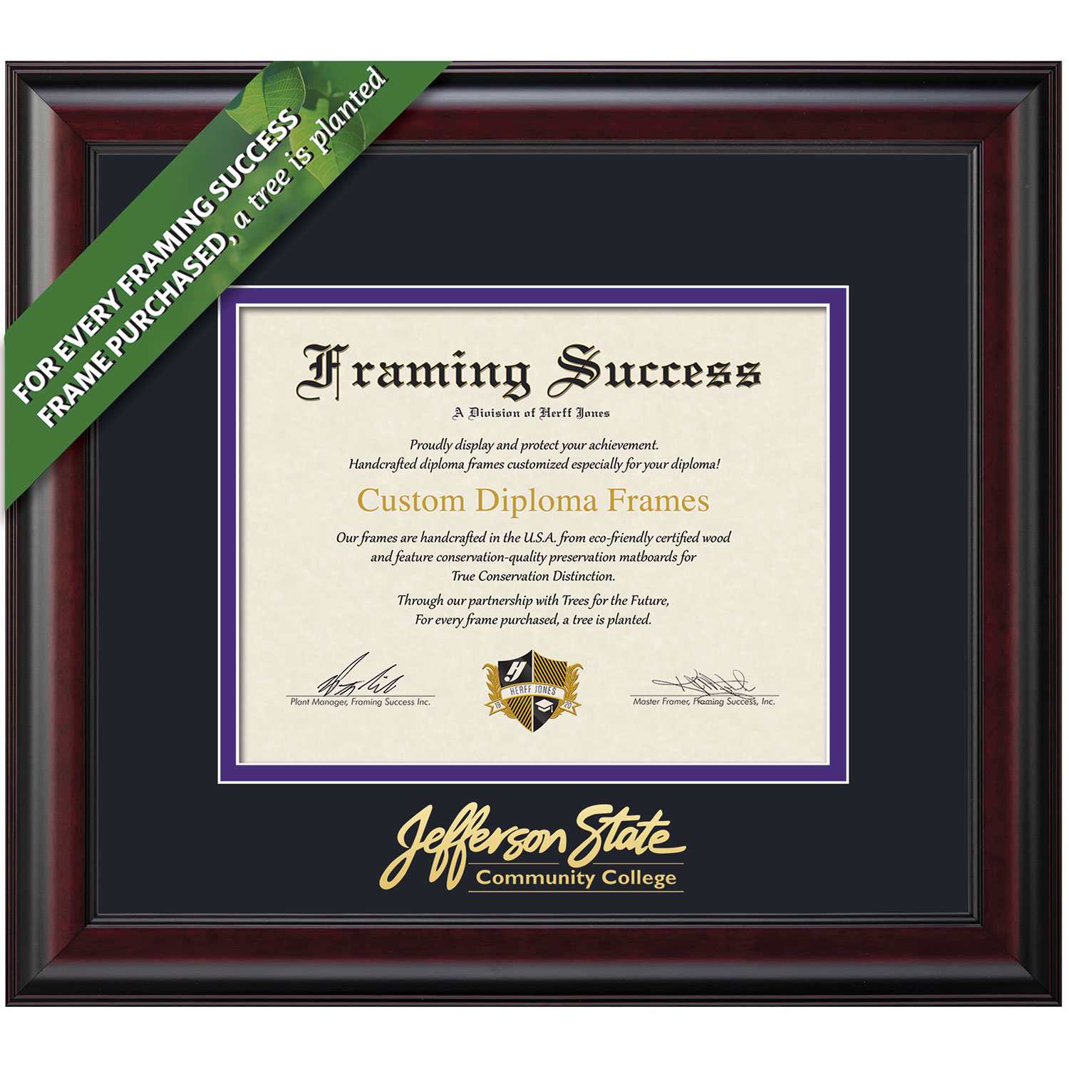 Framing Success 8.5 x 11 Classic Gold Embossed School Name Diploma Frame