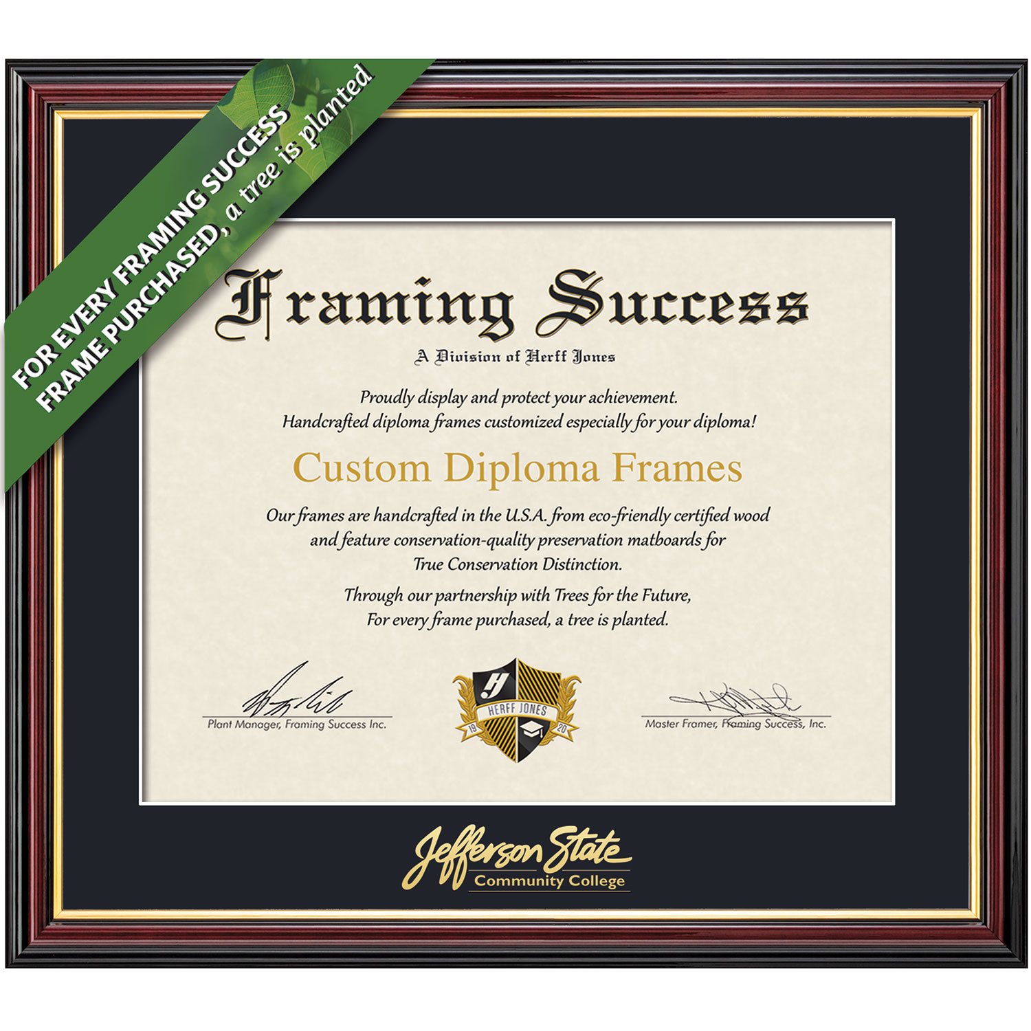 Framing Success 8.5 x 11 Academic Gold Embossed School Name Diploma Frame