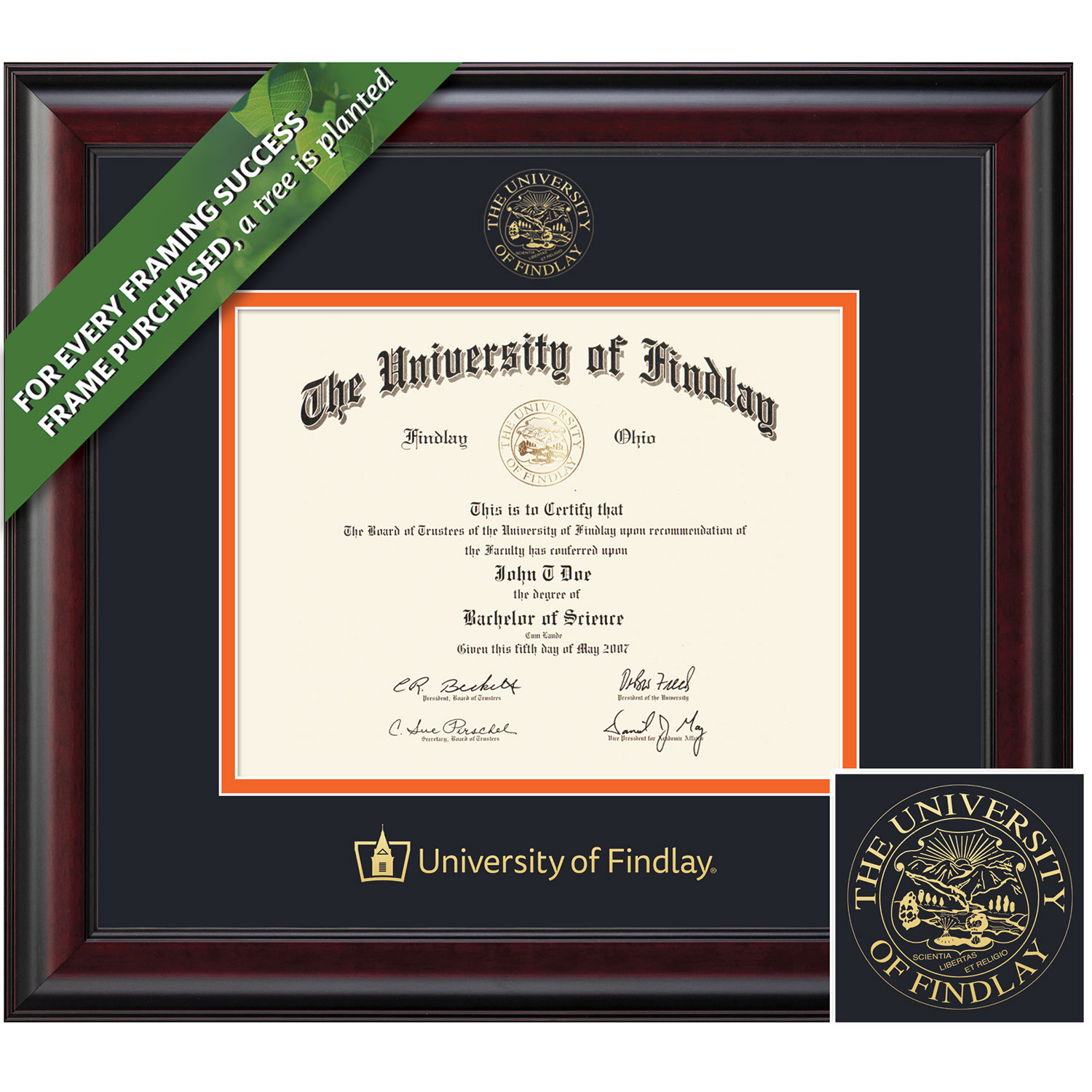 Framing Success 8.5 x 11 Classic Gold Embossed School Seal Bachelors, Masters, PhD Diploma Frame