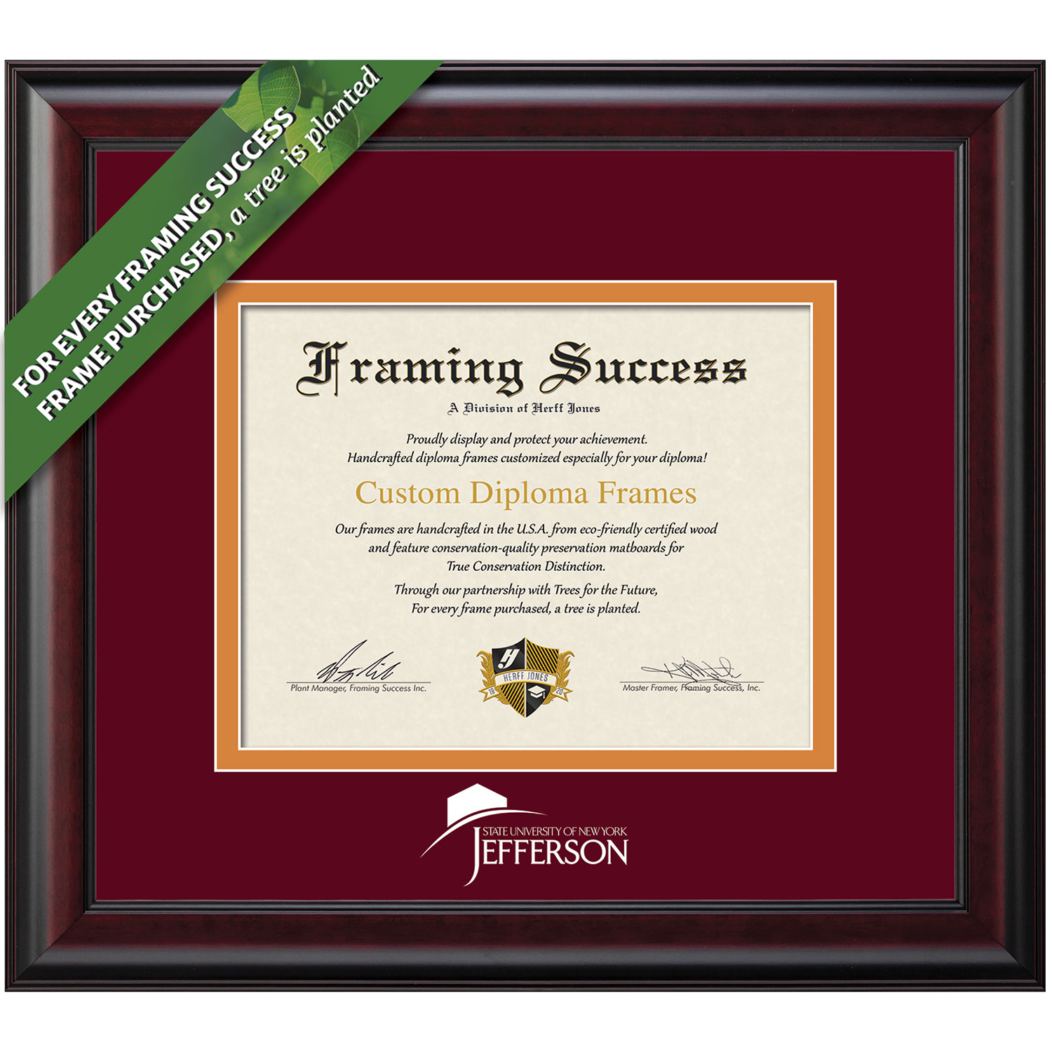 Framing Success 8 x 10 Classic White Embossed School Name Associates Diploma Frame