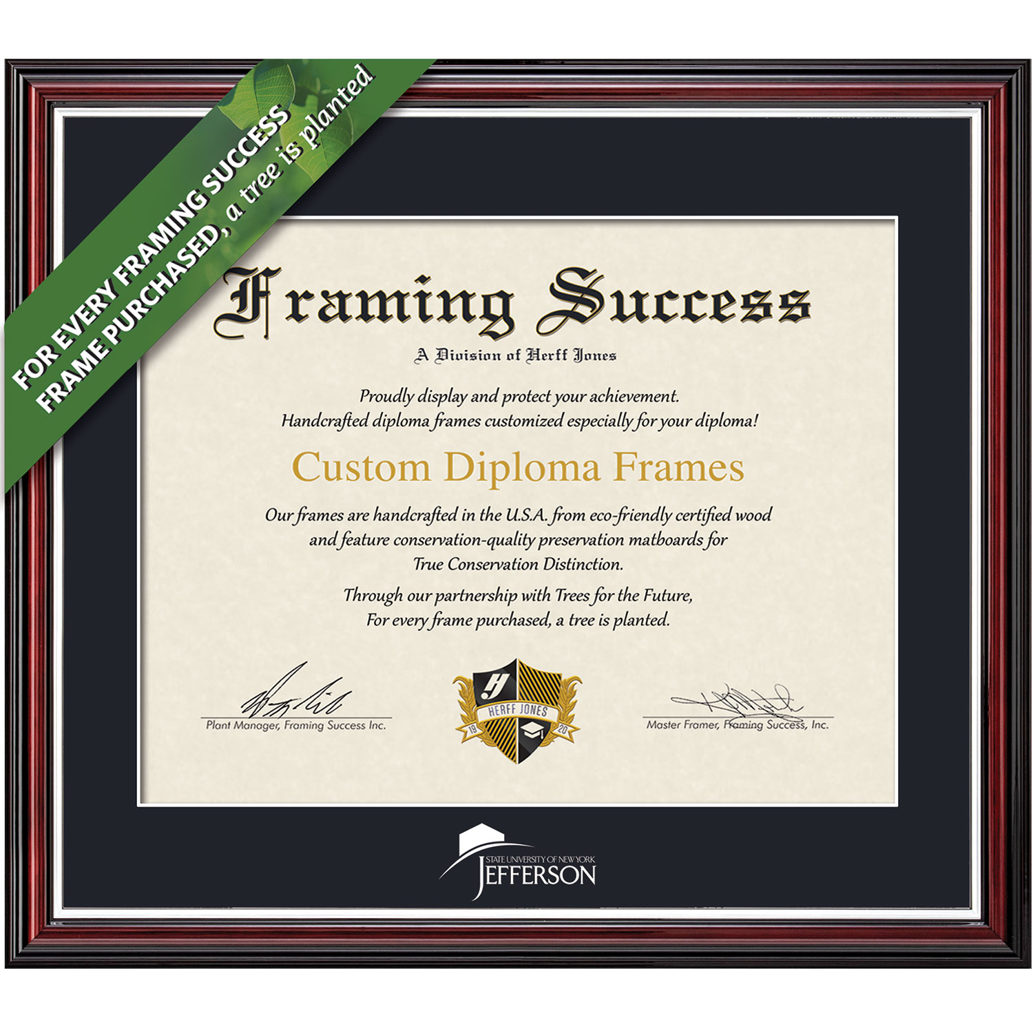 Framing Success 8 x 10 Scholastic White Embossed School Name Associates Diploma Frame