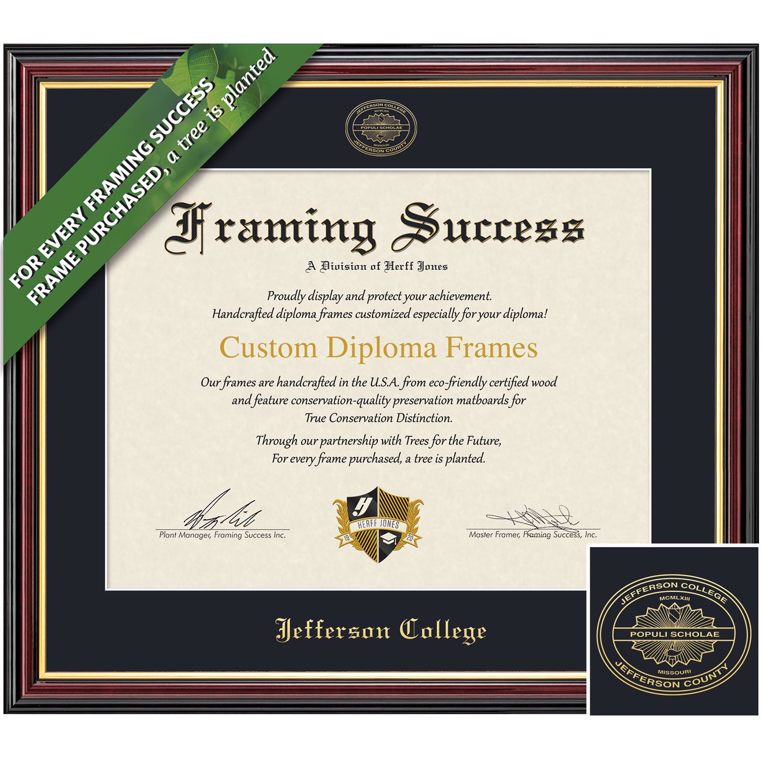 Framing Success 8 x 10 Academic Gold Embossed School Seal Associates Diploma Frame