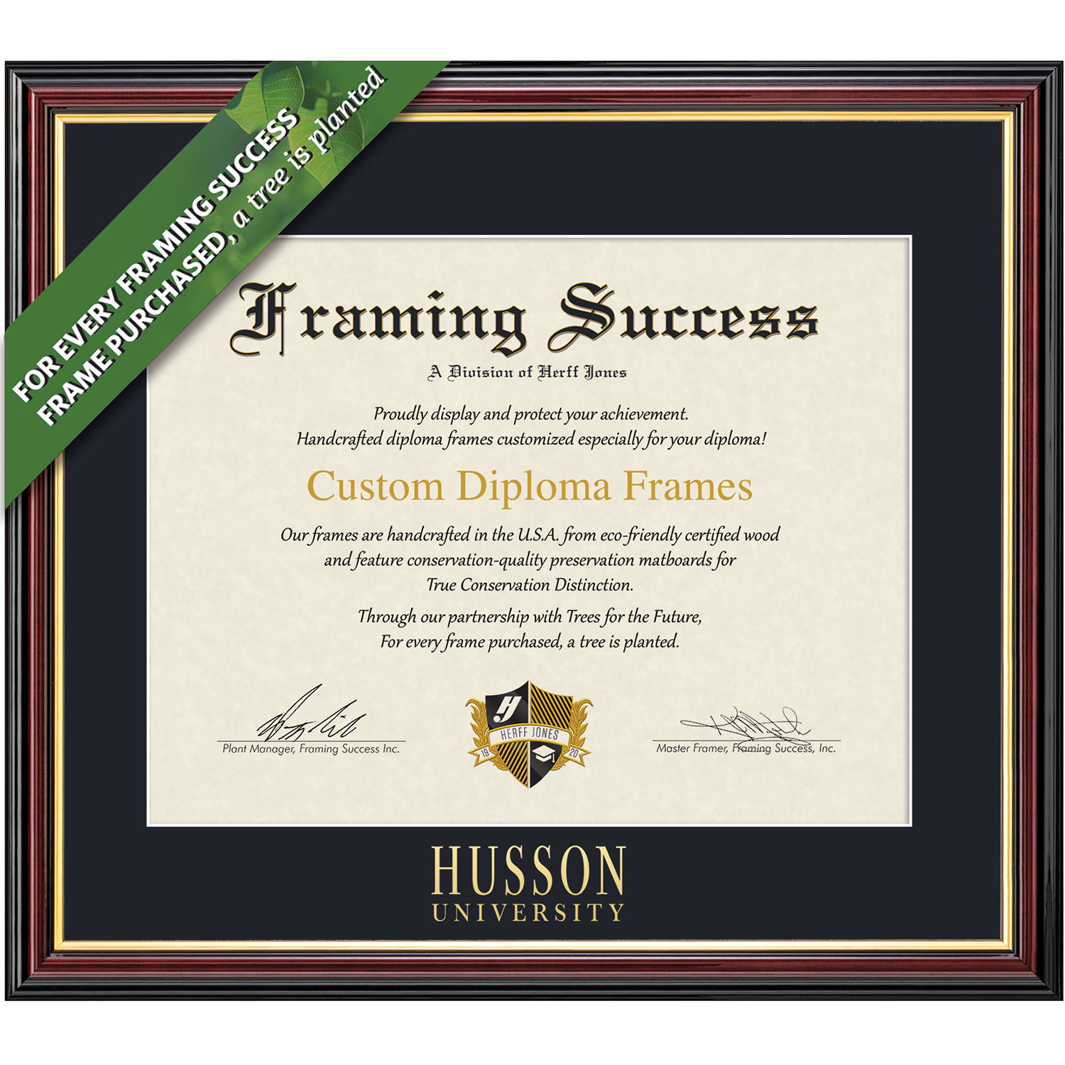 Framing Success 8.5 x 11 Academic Gold Embossed School Name Bachelors, Masters Diploma Frame