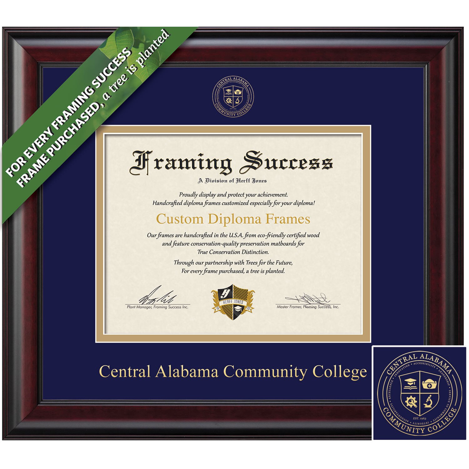 Framing Success 7 x 9 Classic Gold Embossed School Seal Associates Diploma Frame