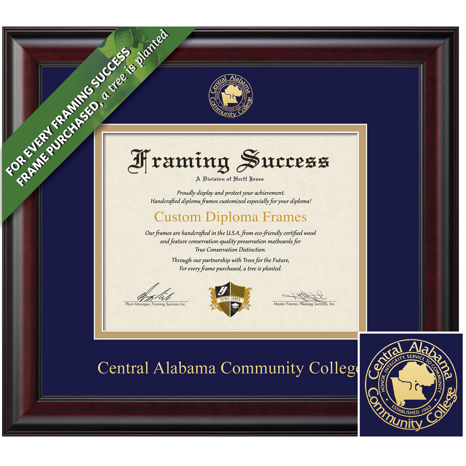 Framing Success 7 x 9 Classic Gold Embossed School Seal Associates Diploma Frame