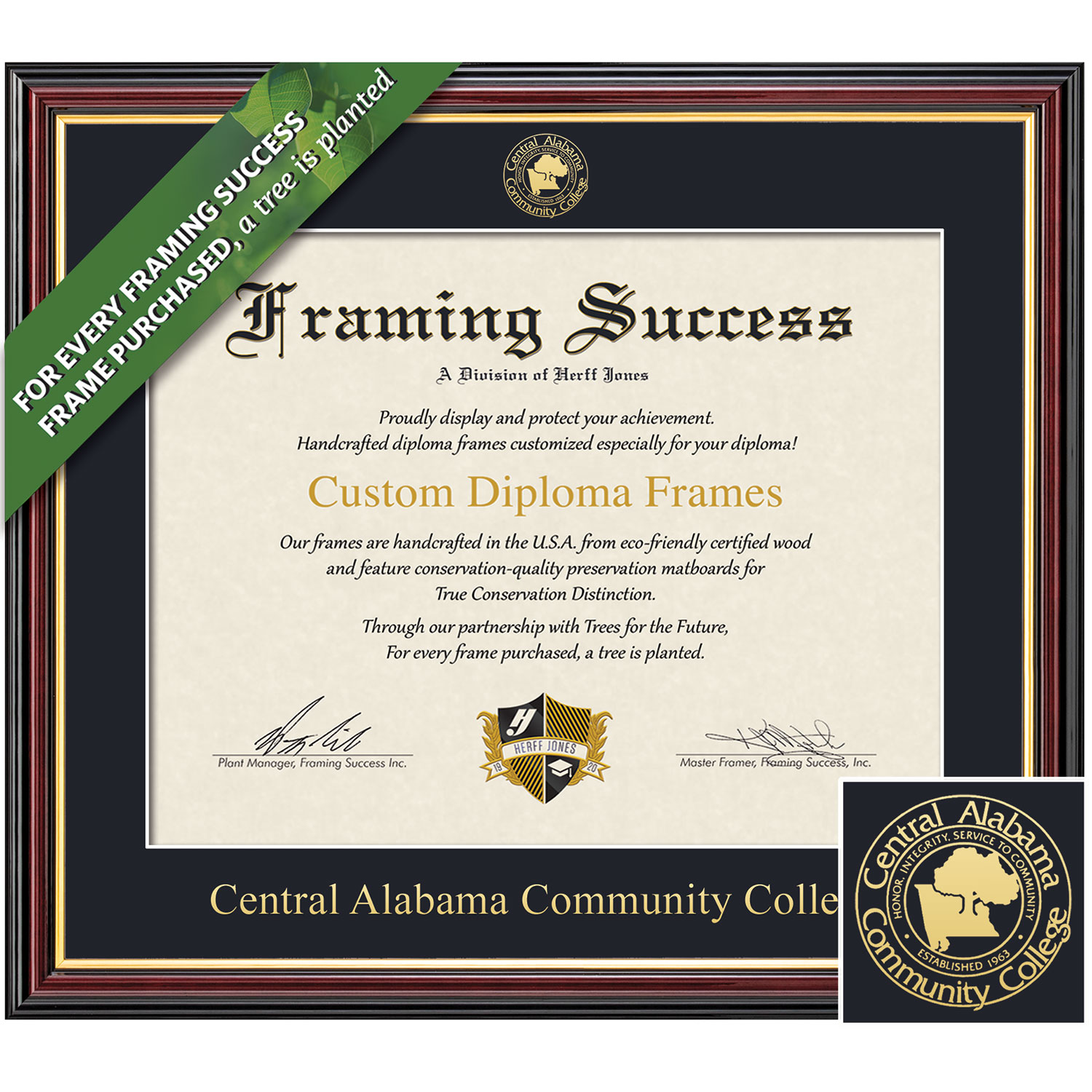 Framing Success 7 x 9 Academic Gold Embossed School Seal Associates Diploma Frame