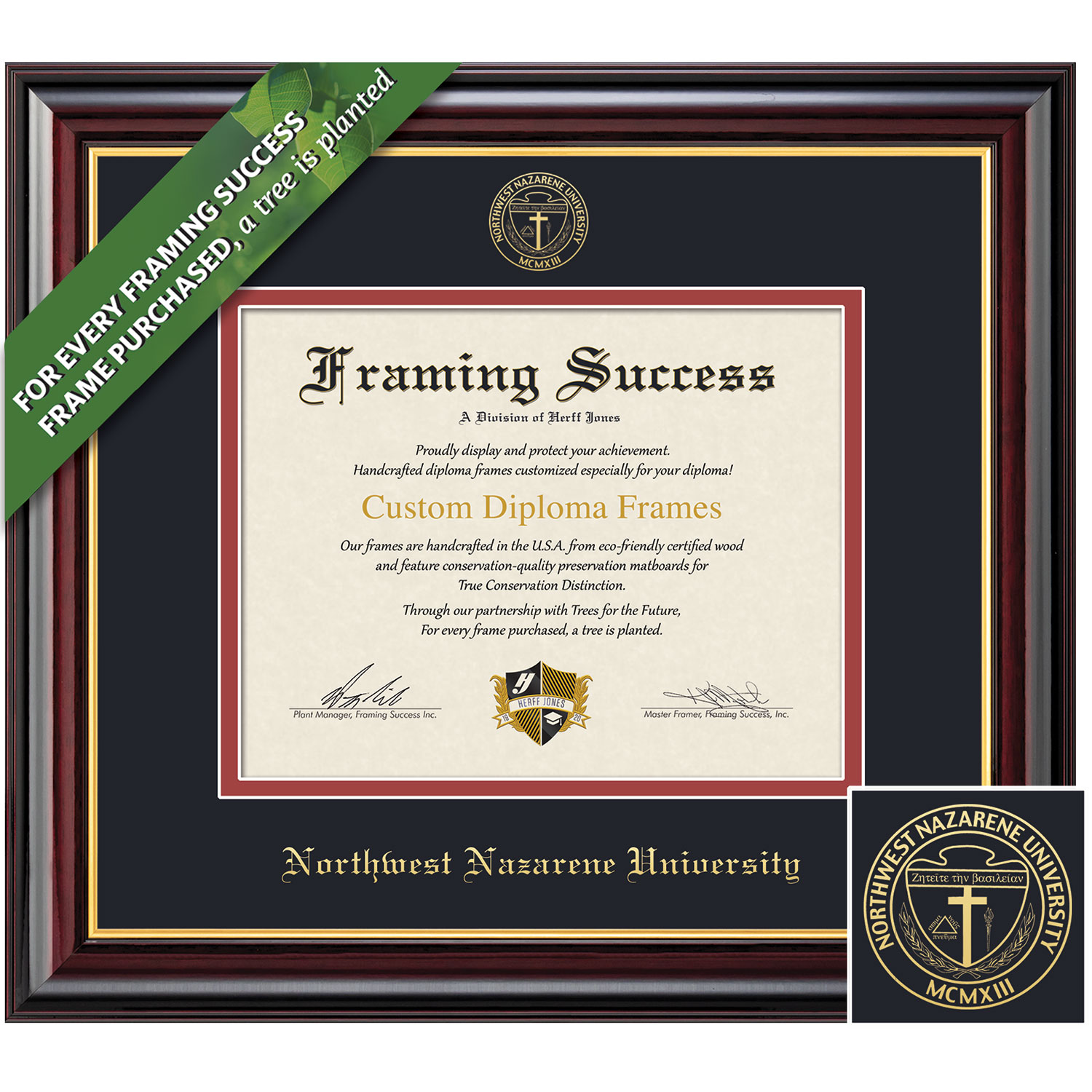 Framing Success 7 x 9 Windsor Gold Embossed School Seal Bachelors Diploma Frame