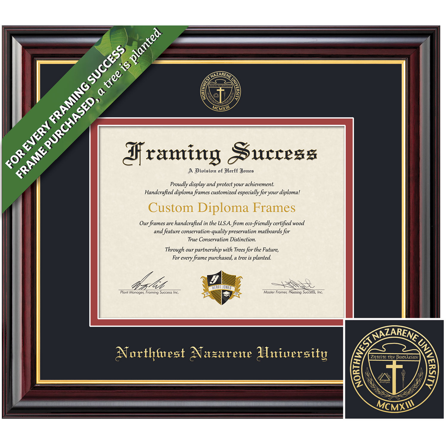 Framing Success 8.5 x 11 Windsor Gold Embossed School Seal Masters Diploma Frame